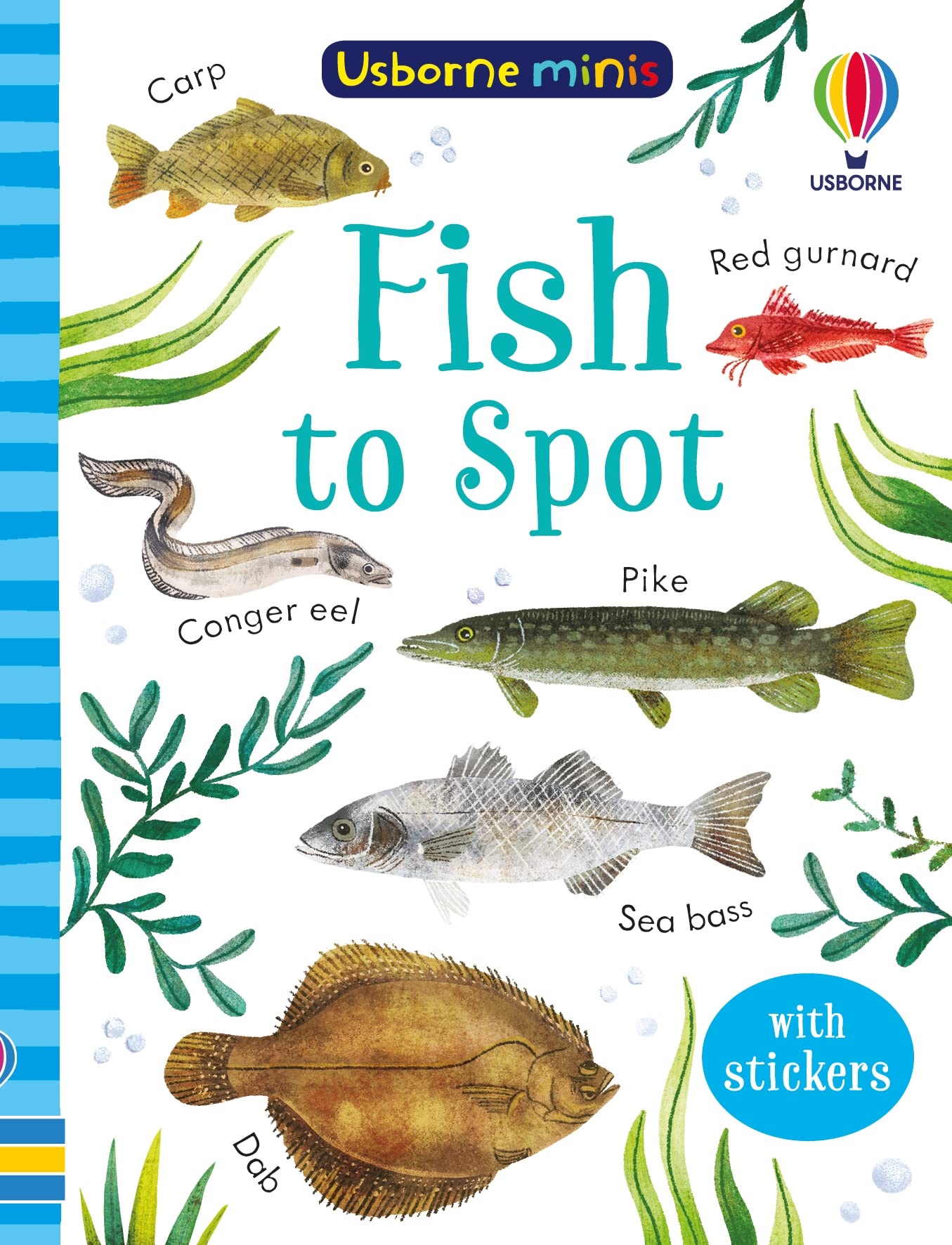 Fish to Spot | Kate Nolan