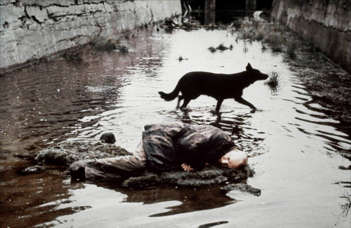 Stalker / Blu-Ray | Andrei Tarkovsky