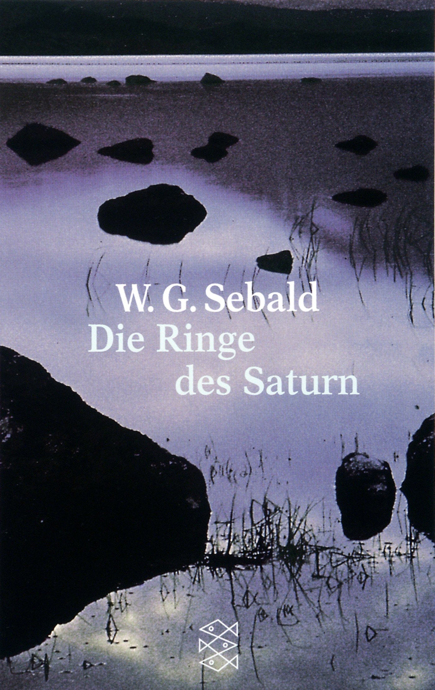 Die Ringe des Saturn | W G Sebald