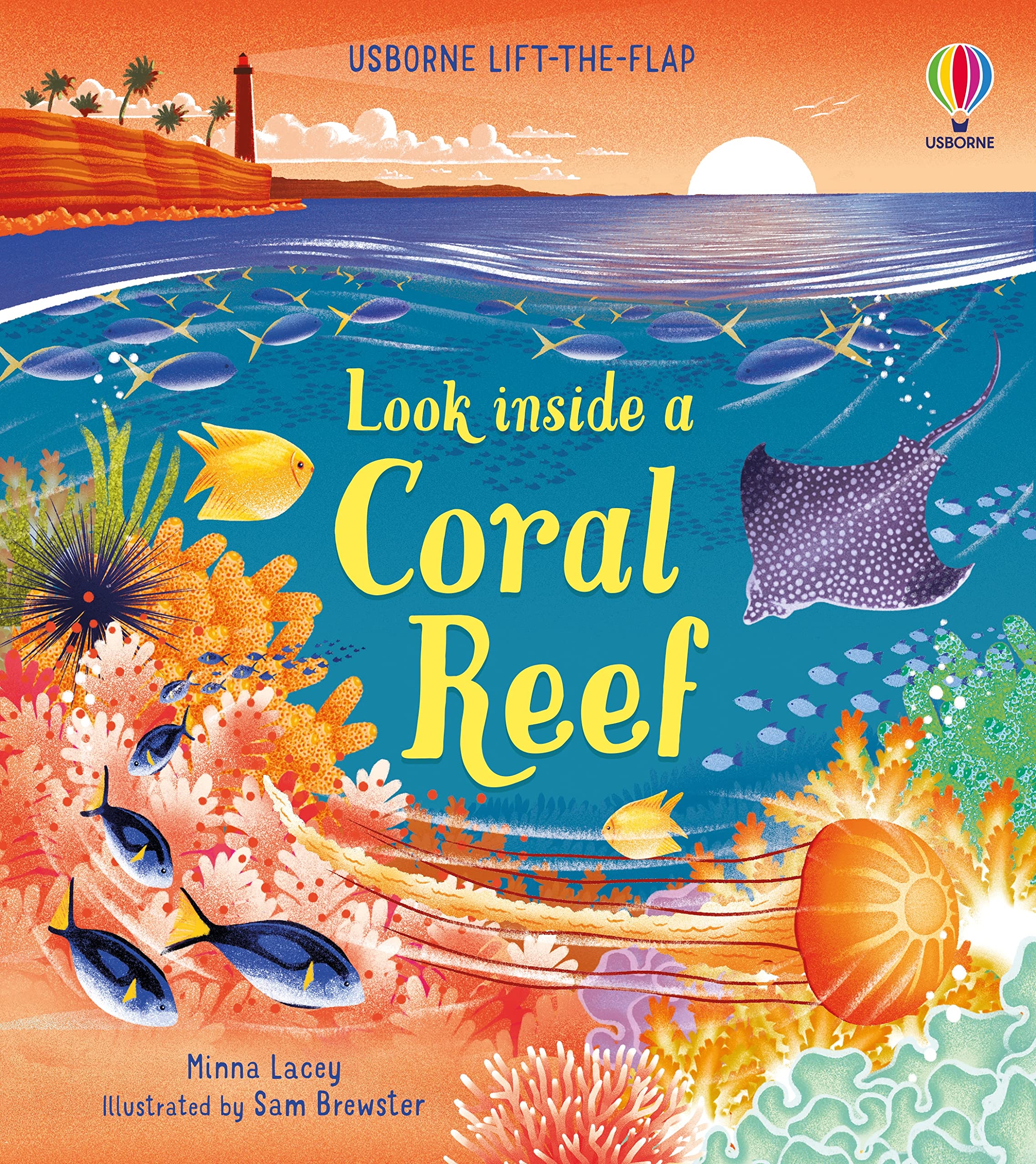 Look Inside a Coral Reef | Minna Lacey