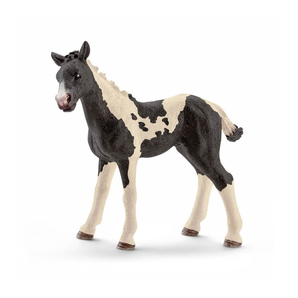 Figurina - Wild Life - Pinto Foal | Schleich