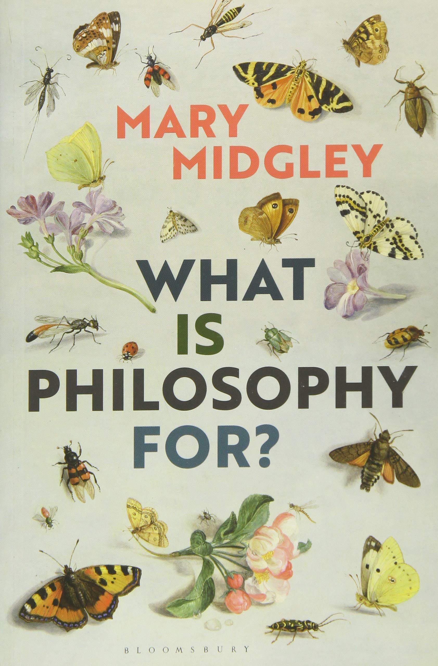 What Is Philosophy for? | Mary Midgley