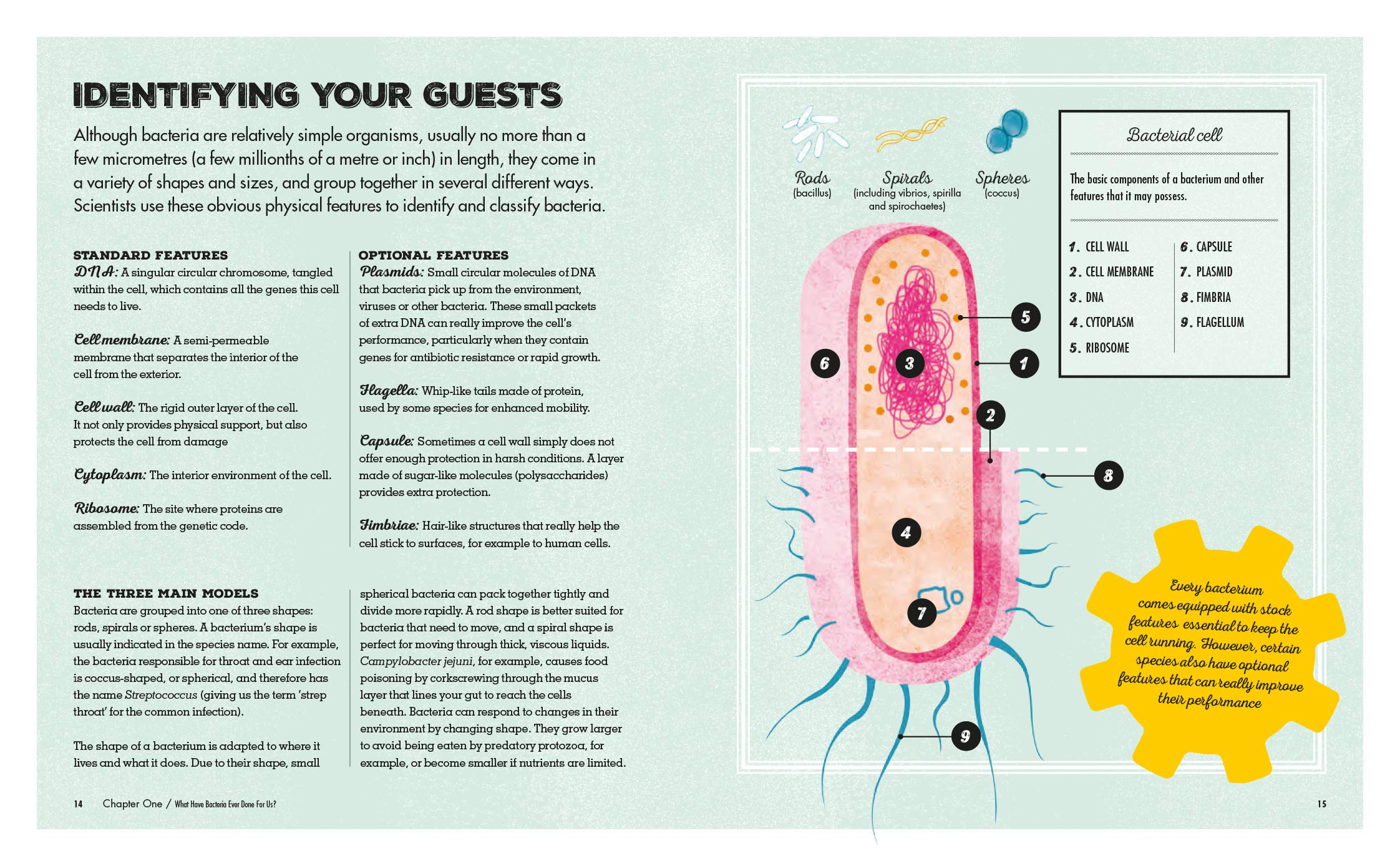 Vezi detalii pentru Meet Your Bacteria | Catherine Whitlock, Nicola Temple