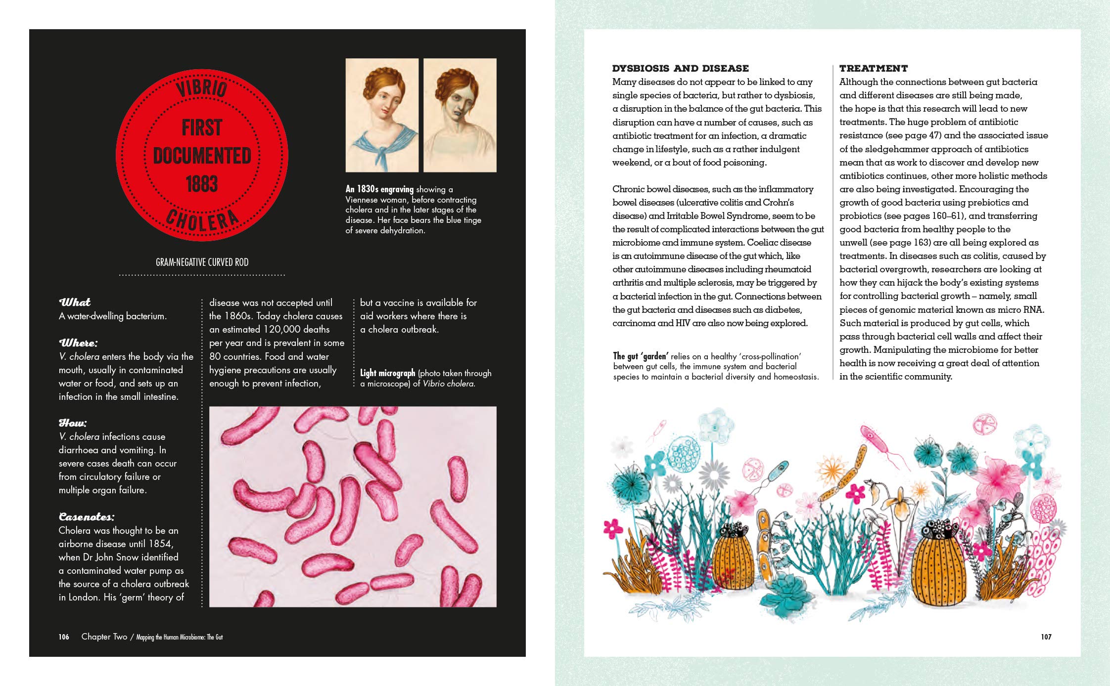 Meet Your Bacteria | Catherine Whitlock, Nicola Temple - 2 | YEO