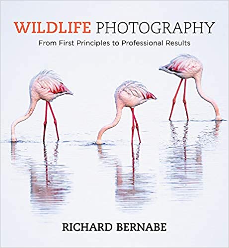 Wildlife Photography | Richard Bernabe