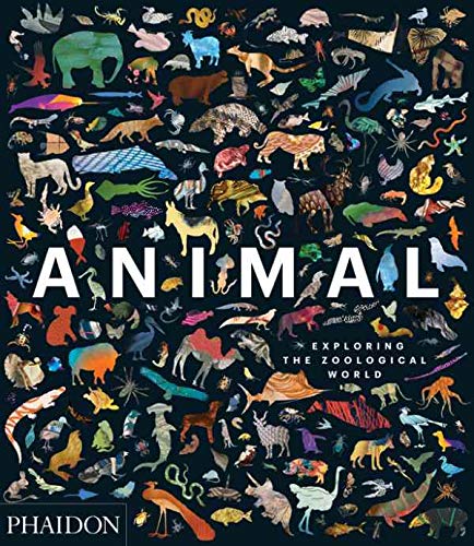 Animal: Exploring the Zoological World | James Hanken