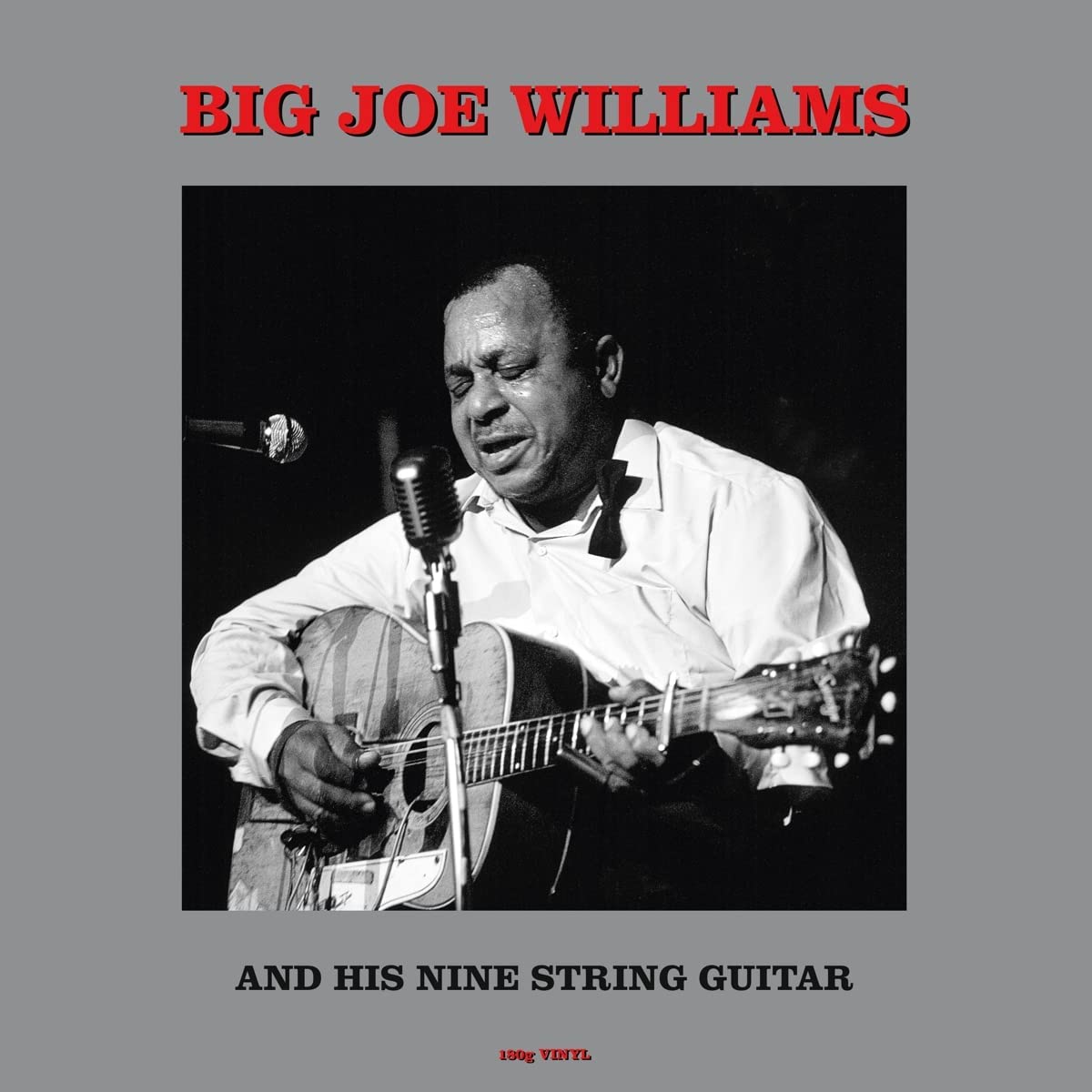 Big Joe Williams And His Nine String Guitar | Big Joe Williams - 1 | YEO