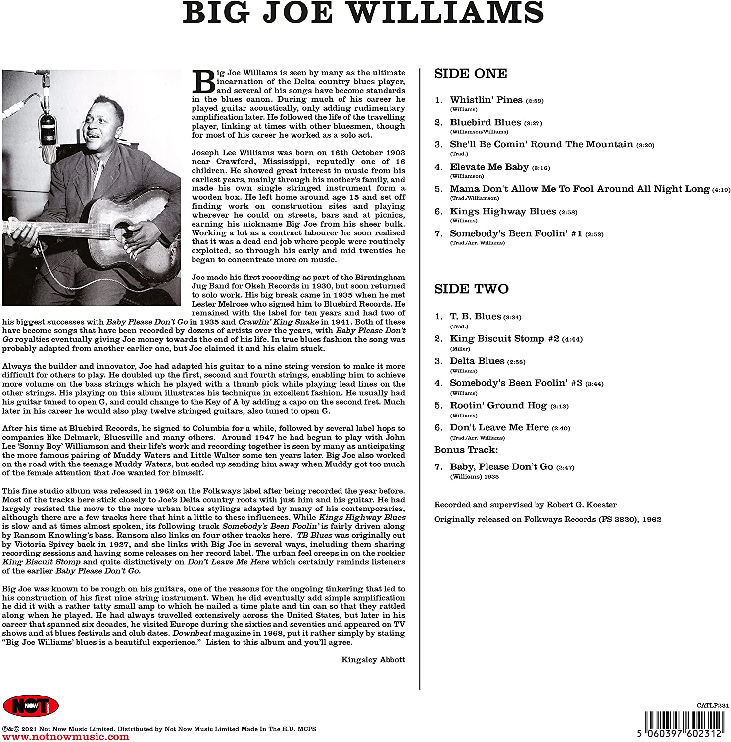 Big Joe Williams And His Nine String Guitar | Big Joe Williams