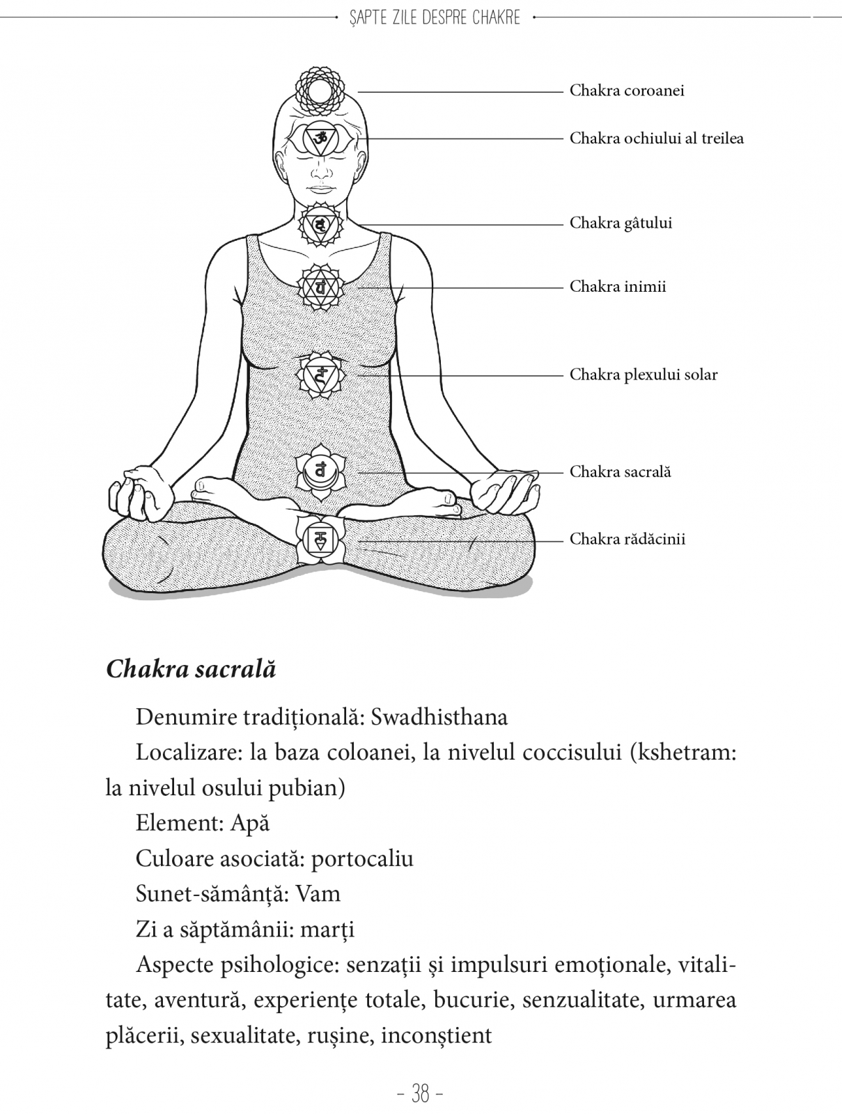 Sapte Zile Despre Chakre | Shai Tubali - 3 | YEO