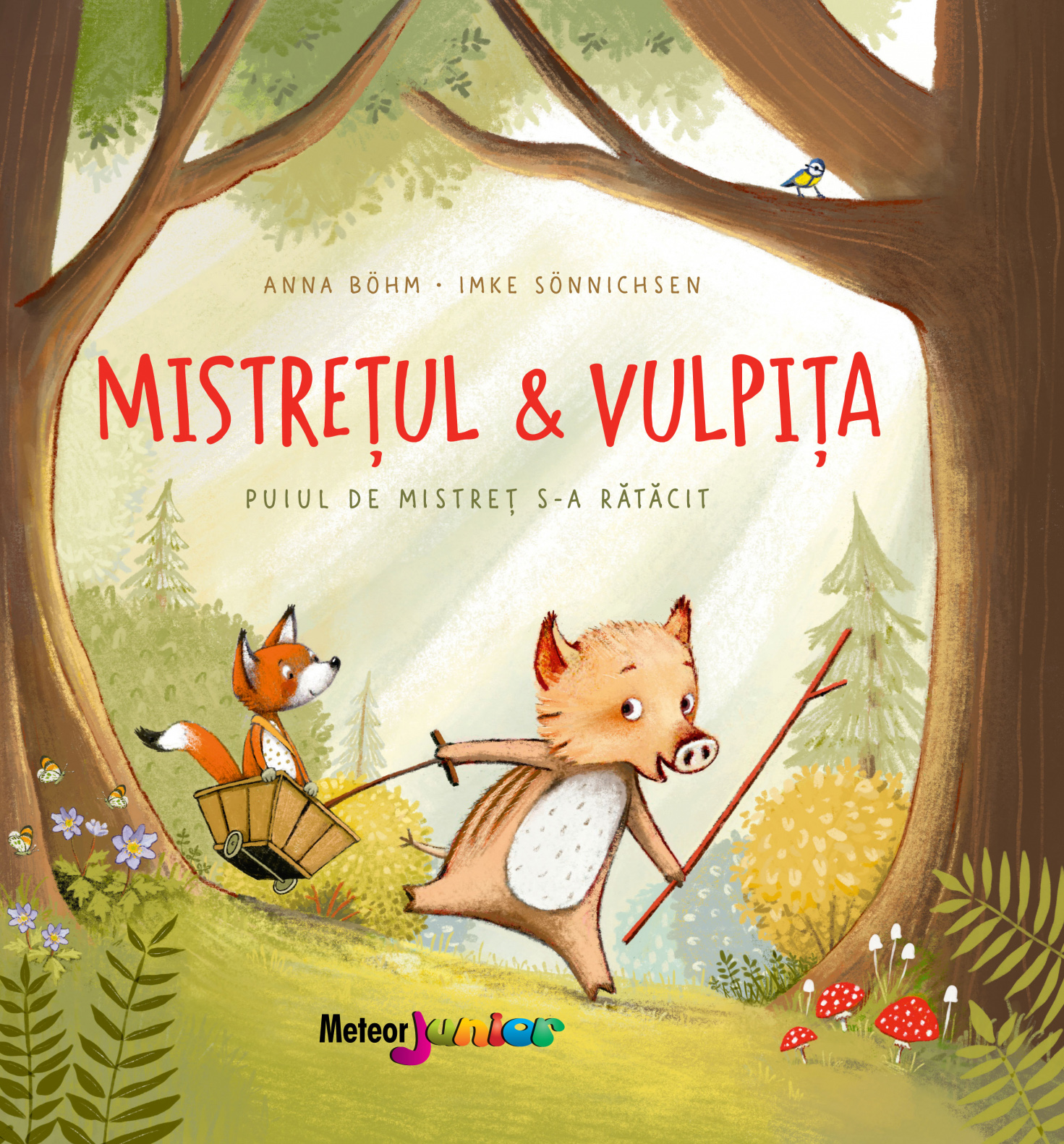 Mistretul & vulpita. Puiul de mistret s-a ratacit | Anna Bohm