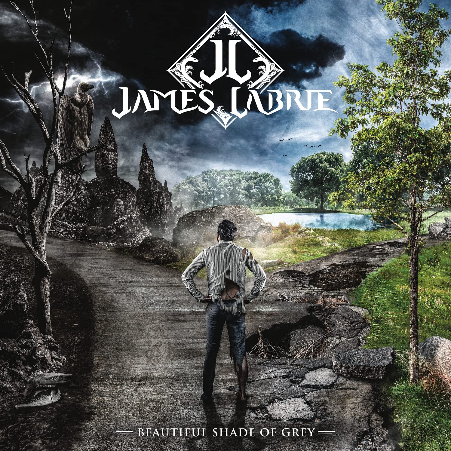 Beautiful Shade of Grey | James LaBrie