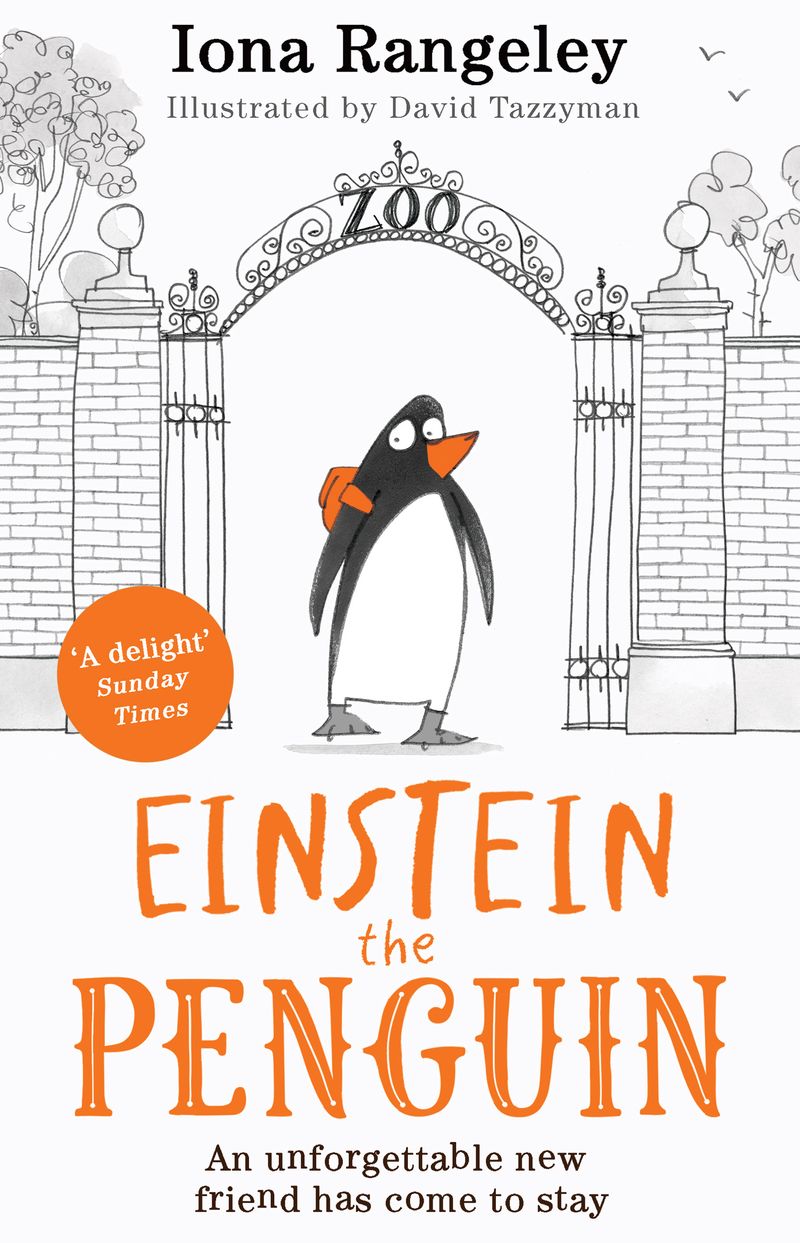 Einstein the Penguin | Iona Rangeley