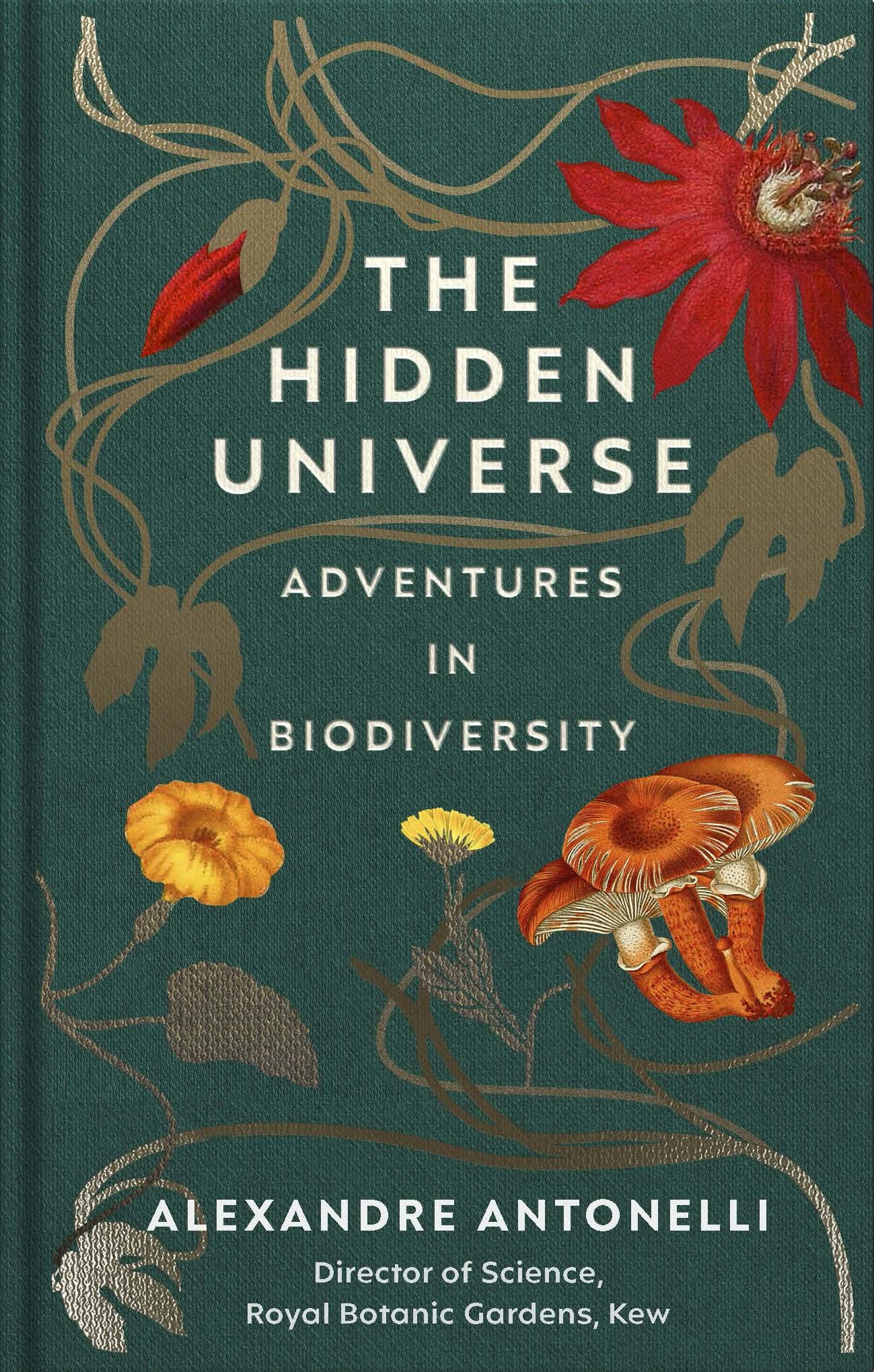 The Hidden Universe | Alexandre Antonelli