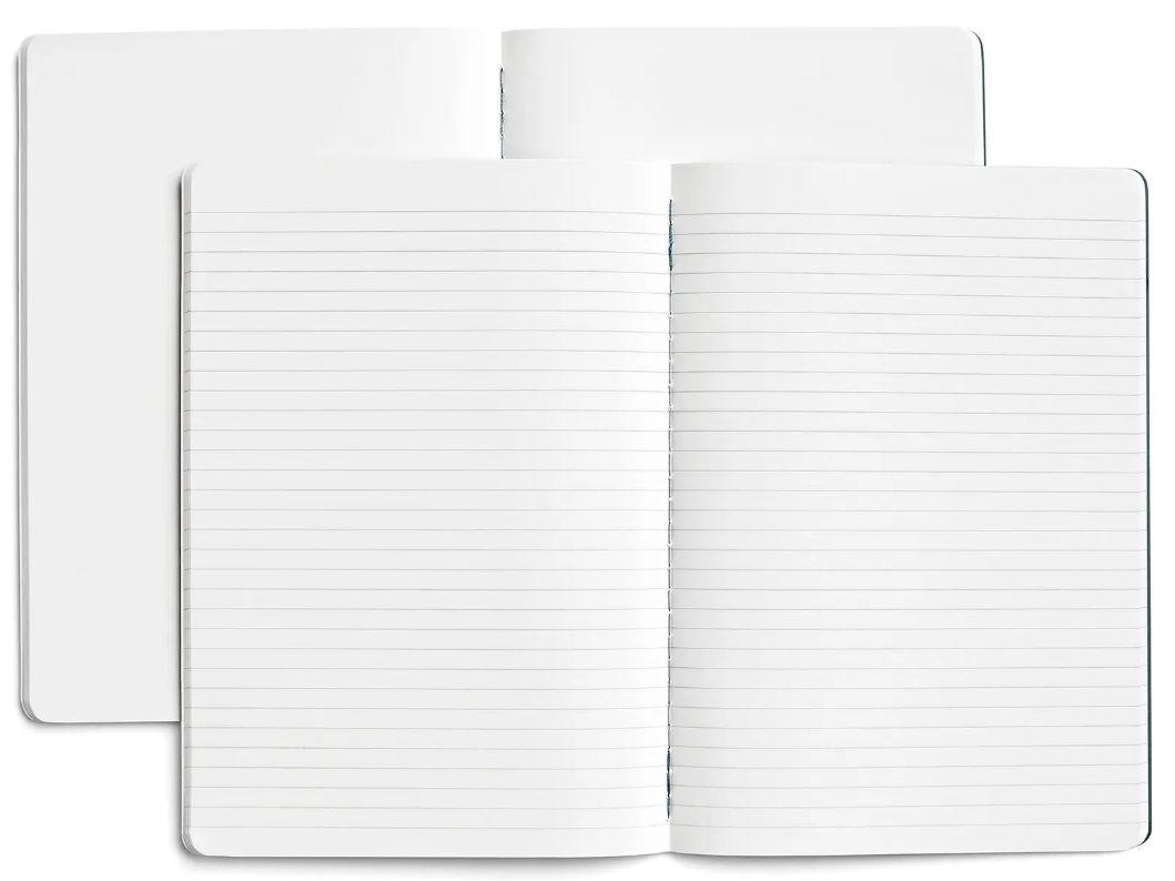 Set caiete A5 - Twin Pack - Blank, Lined - Slate | Karst