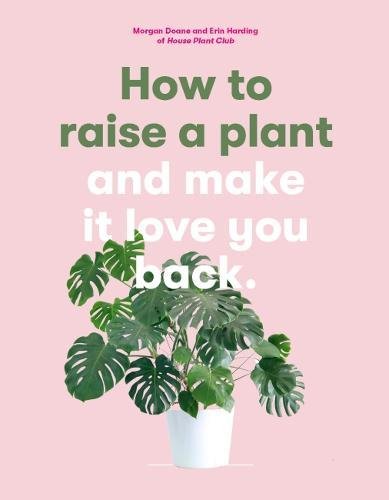 How to Raise a Plant | Morgan Doane