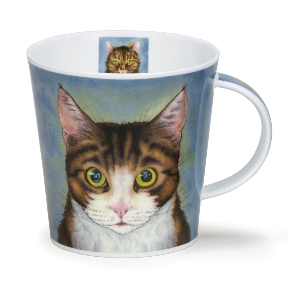 Cana - Cairngorm - Rogue’s Gallery Tabby | Dunoon