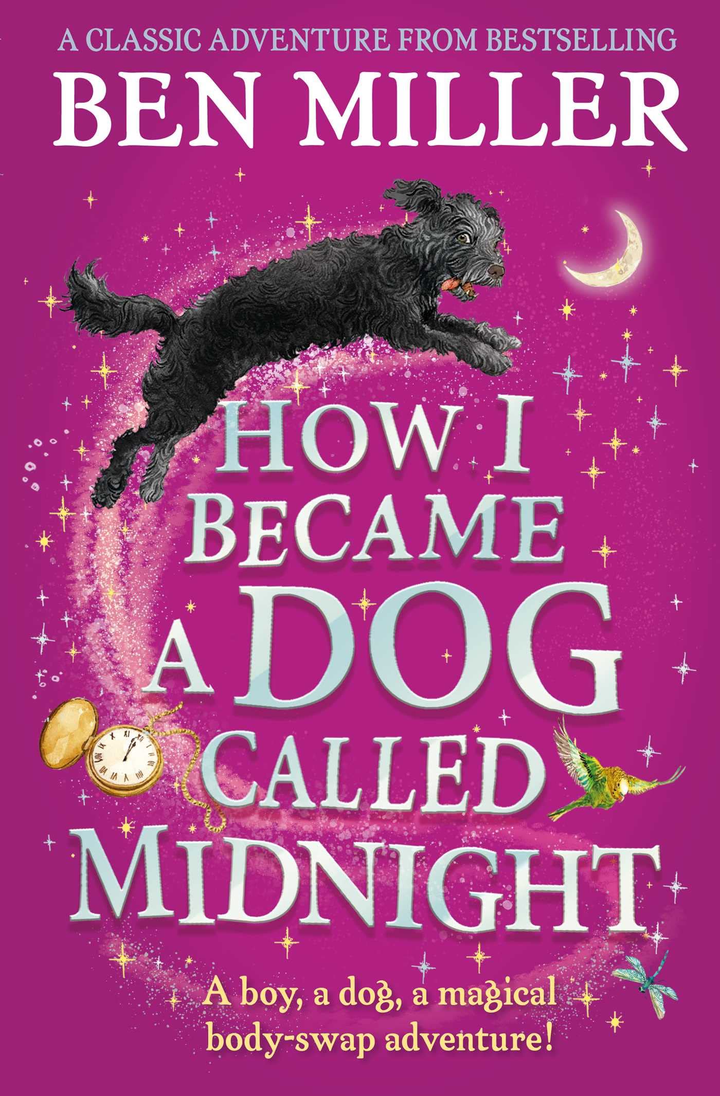 How I Became a Dog Called Midnight | Ben Miller