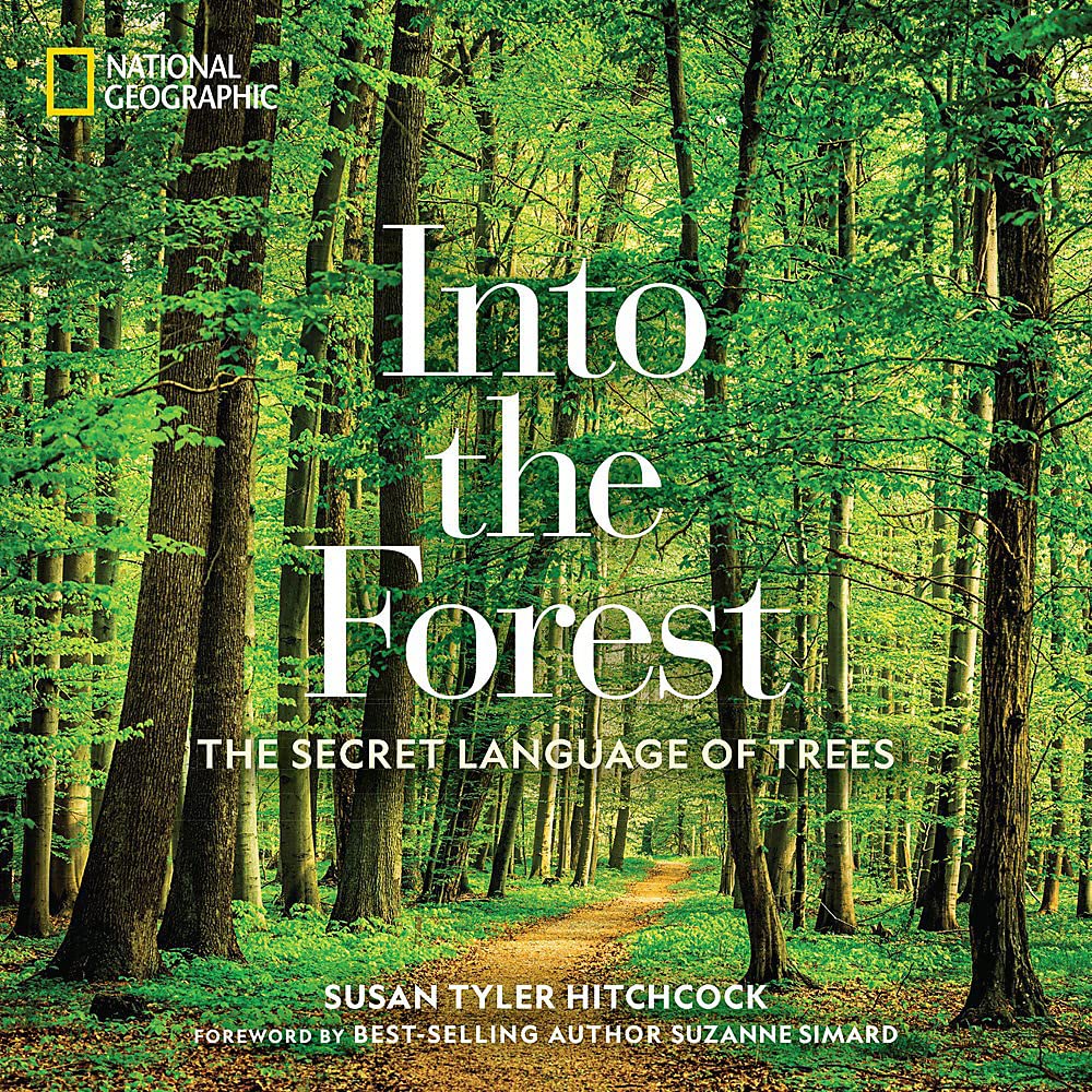 Into the Forest | Susan Tyler Hitchcock