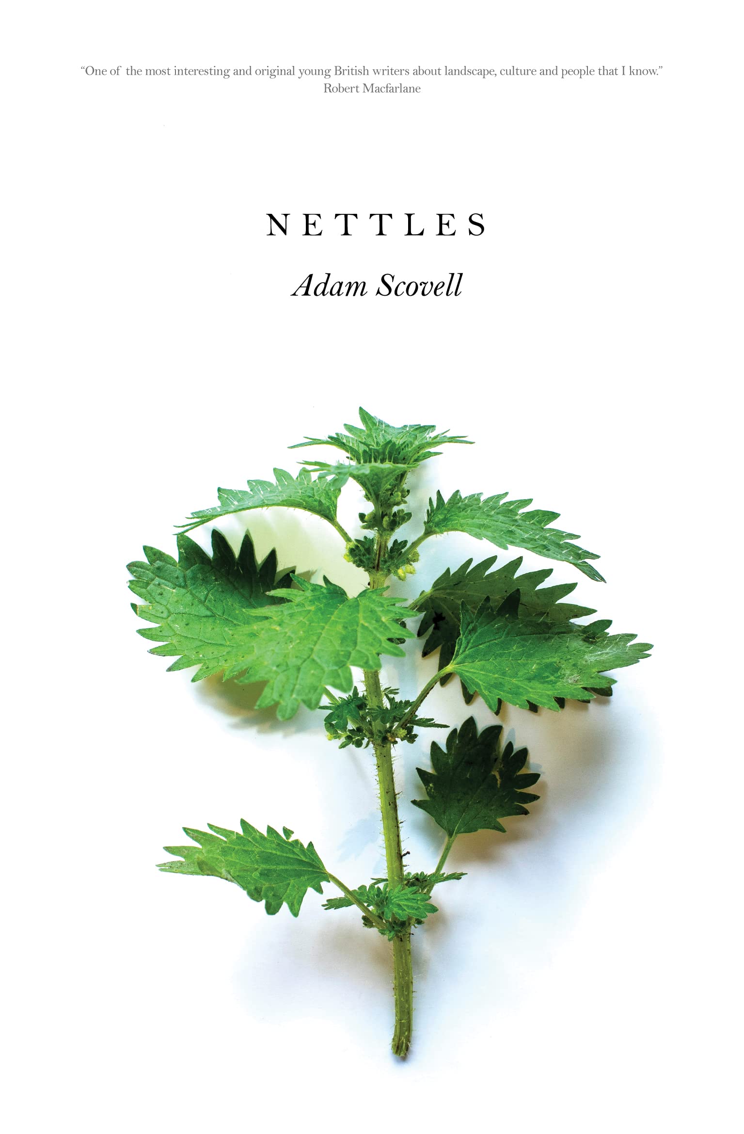 Nettles | Adam Scovell