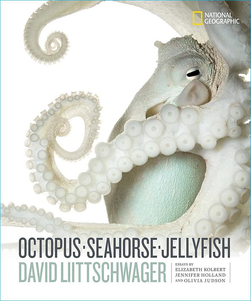 Octopus, Seahorse, Jellyfish | David Liittschwager