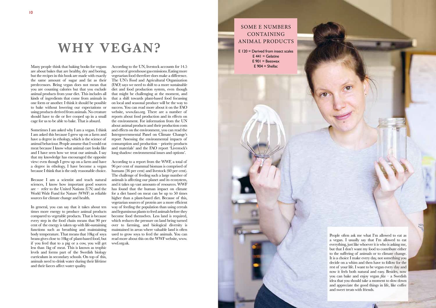 The Vegan Baking Bible | Karolina Tegelaar