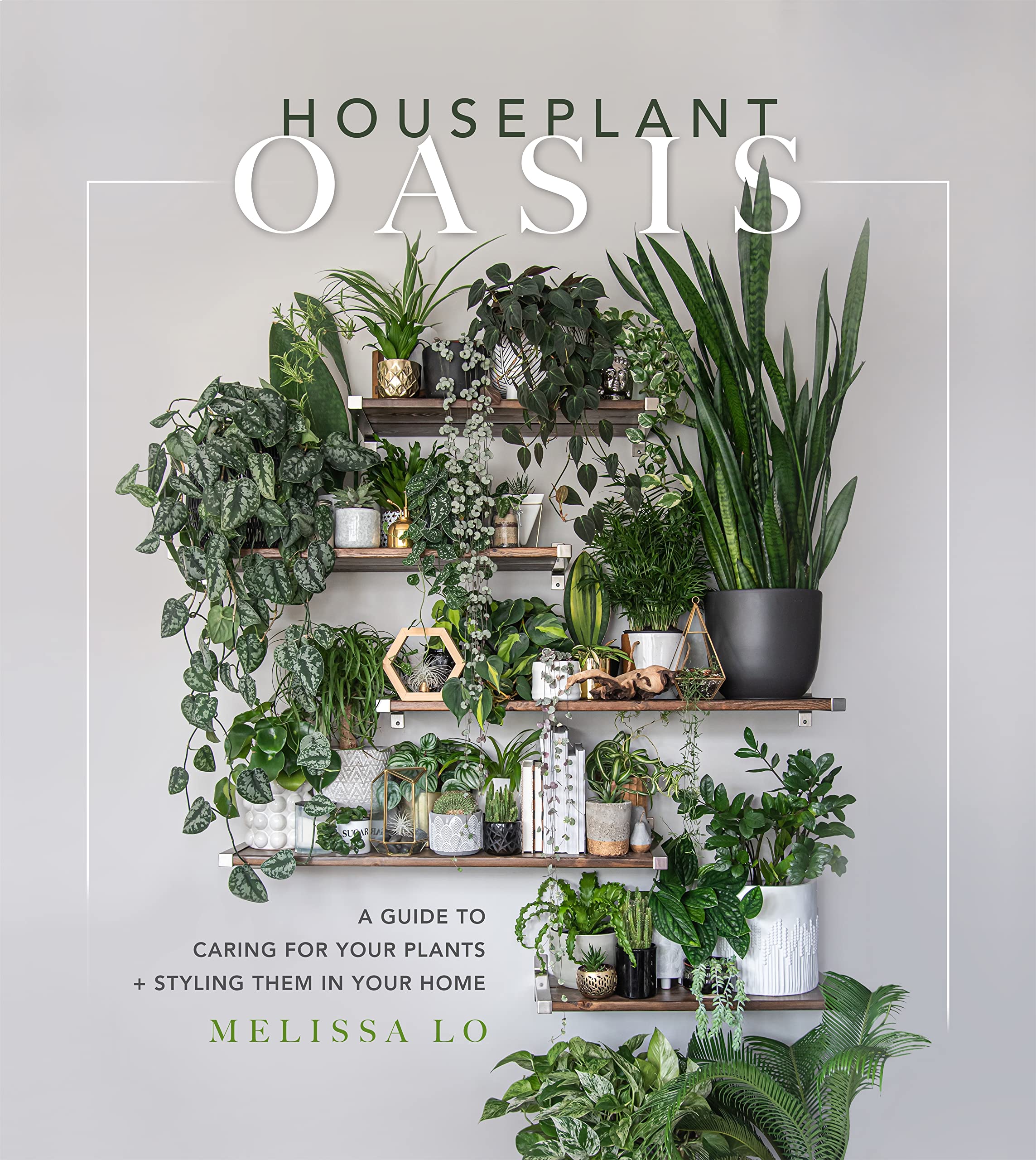 Houseplant Oasis | Melissa Lo