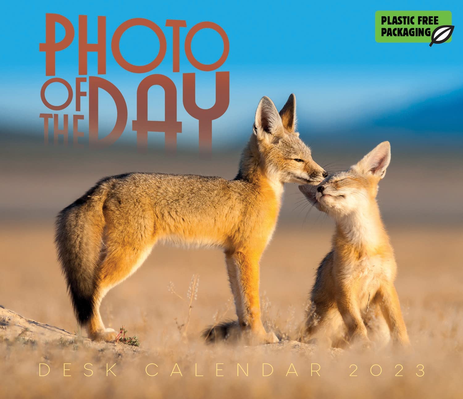 Calendar de birou 2023 - Box - Photo of the Day | Carousel - 3 | YEO