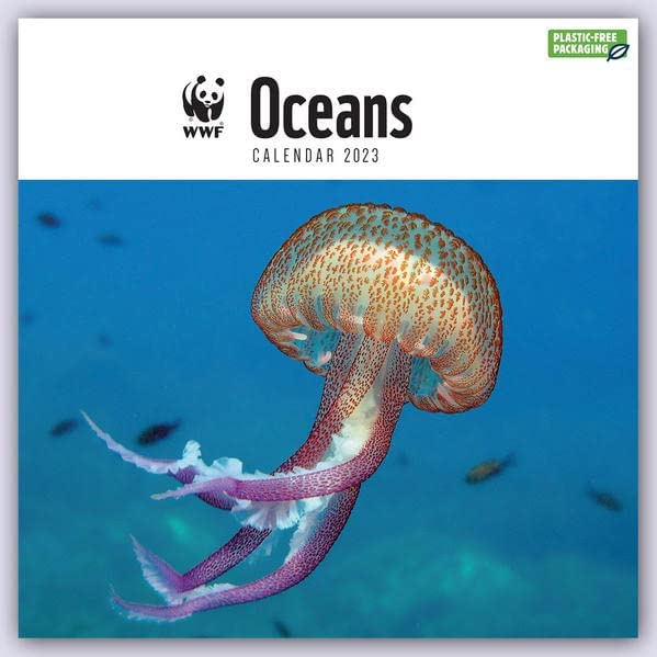Calendar de perete 2023 - Square - WWF - Oceans | Carousel