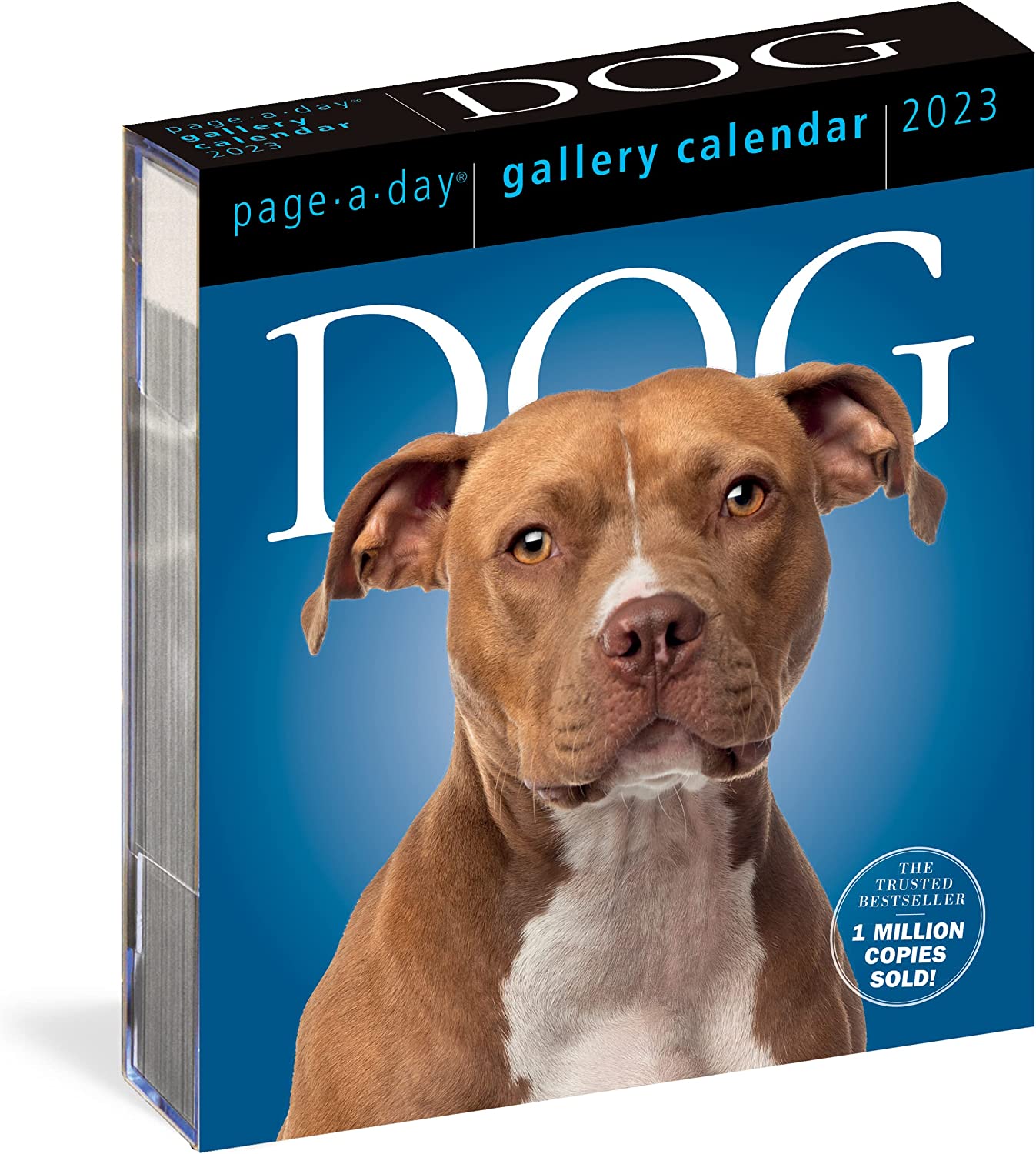 Calendar de birou 2023 - Page-A-Day - Dog | Workman Publishing