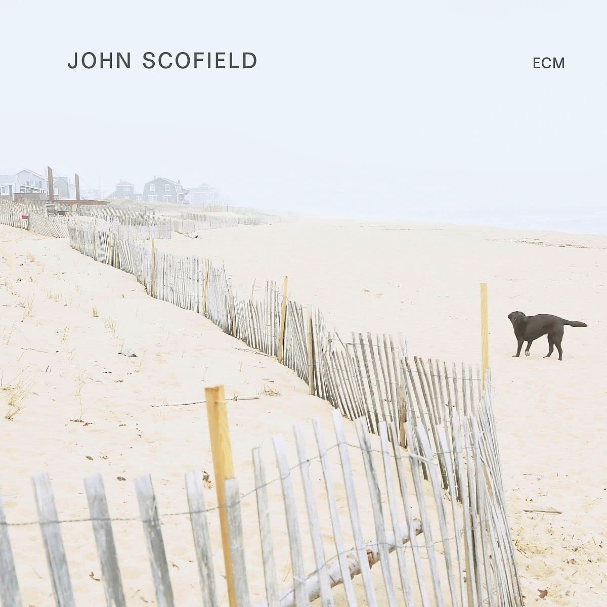 John Scofield | John Scofield - 1 | YEO