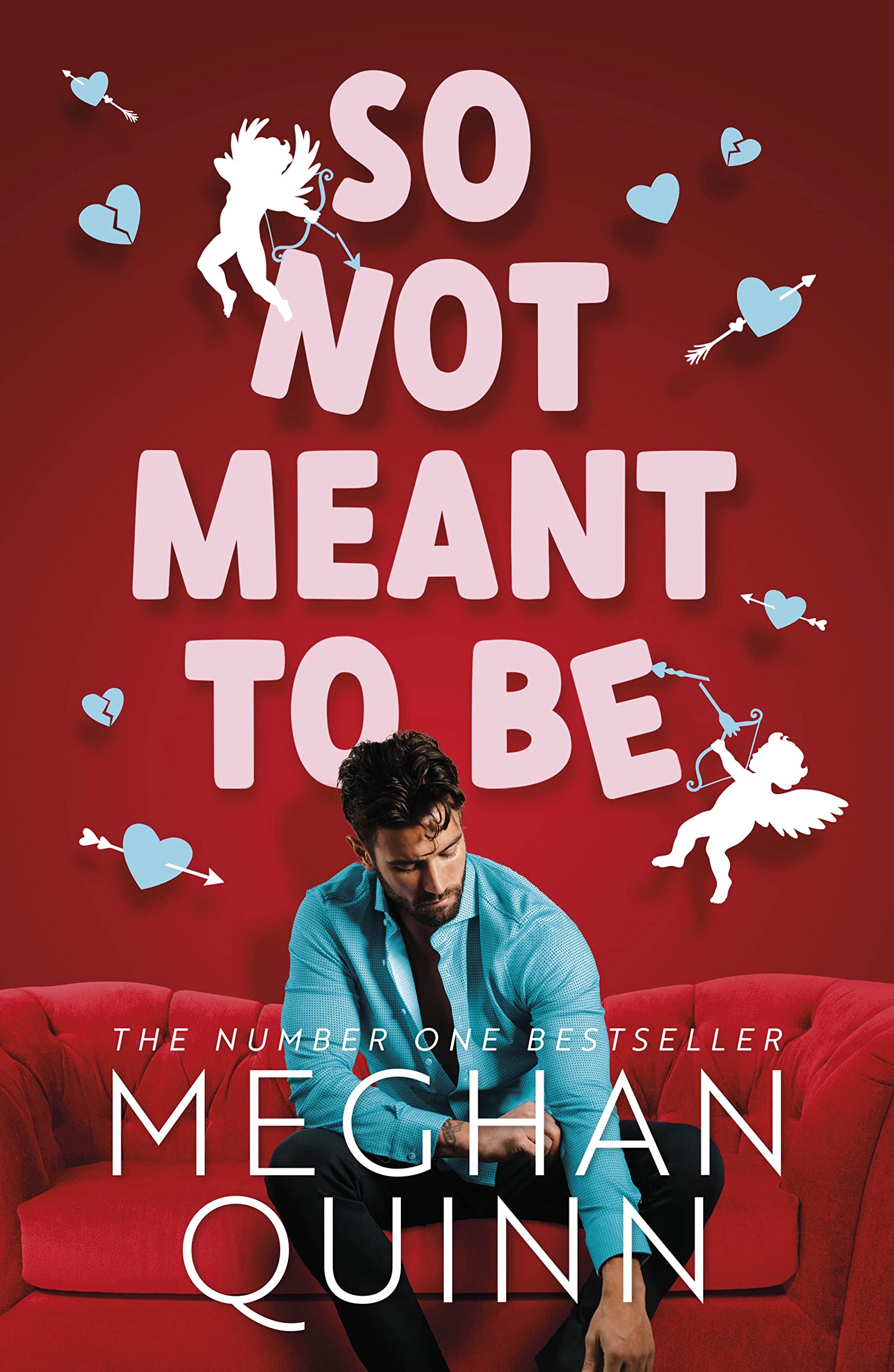 So Not Meant To Be | Meghan Quinn