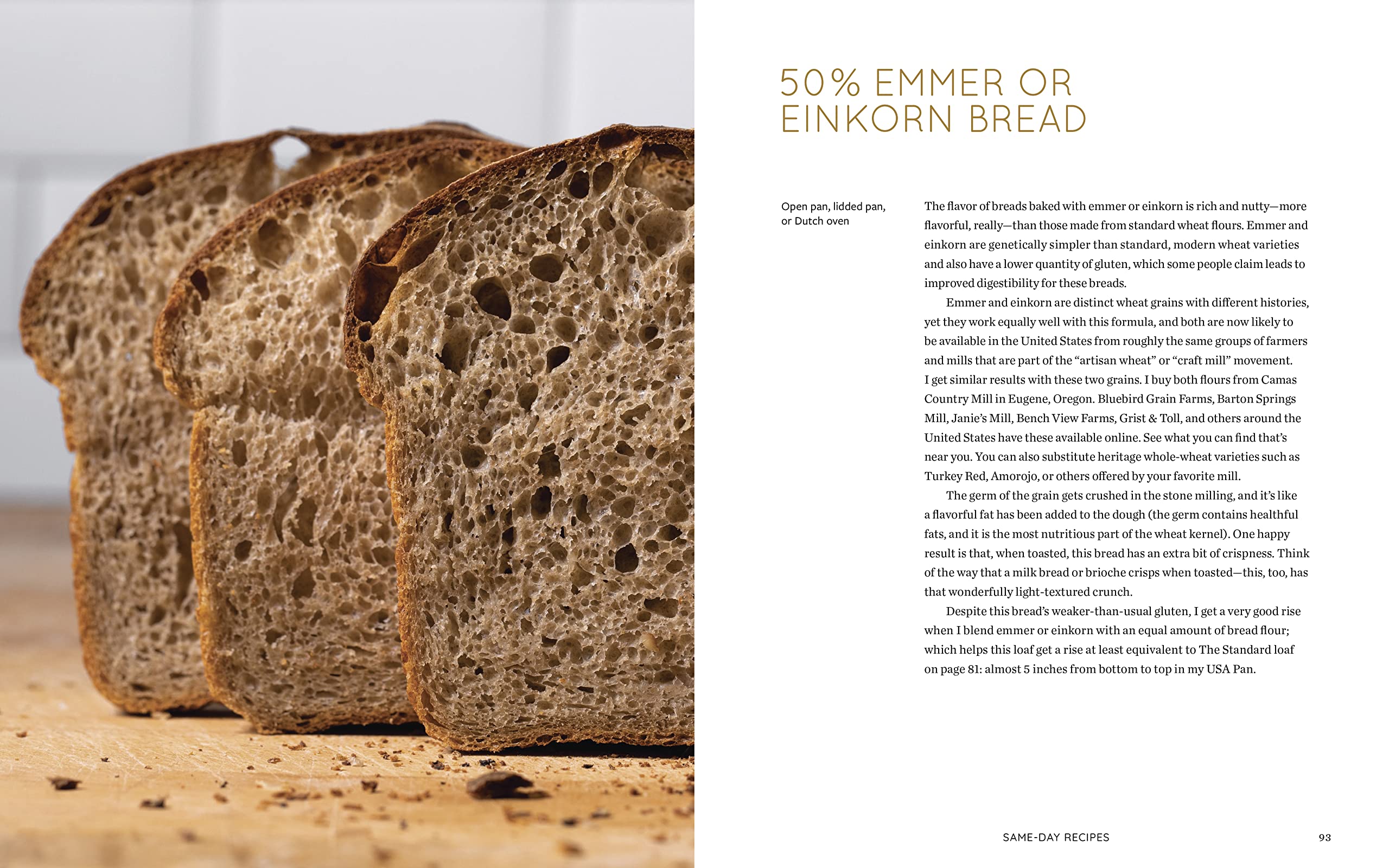 Evolutions in Bread | Ken Forkish - 1 | YEO