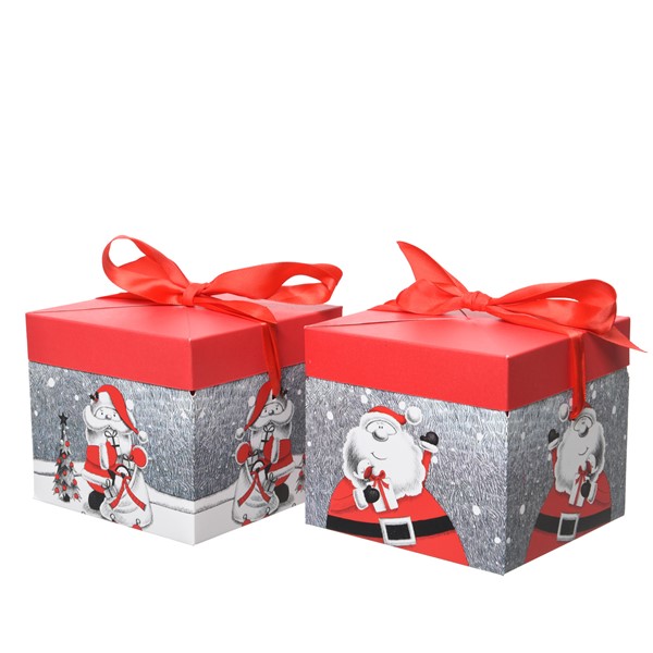 Cutie pentru cadou - Classic Santa Polybag - mai multe modele | Kaemingk