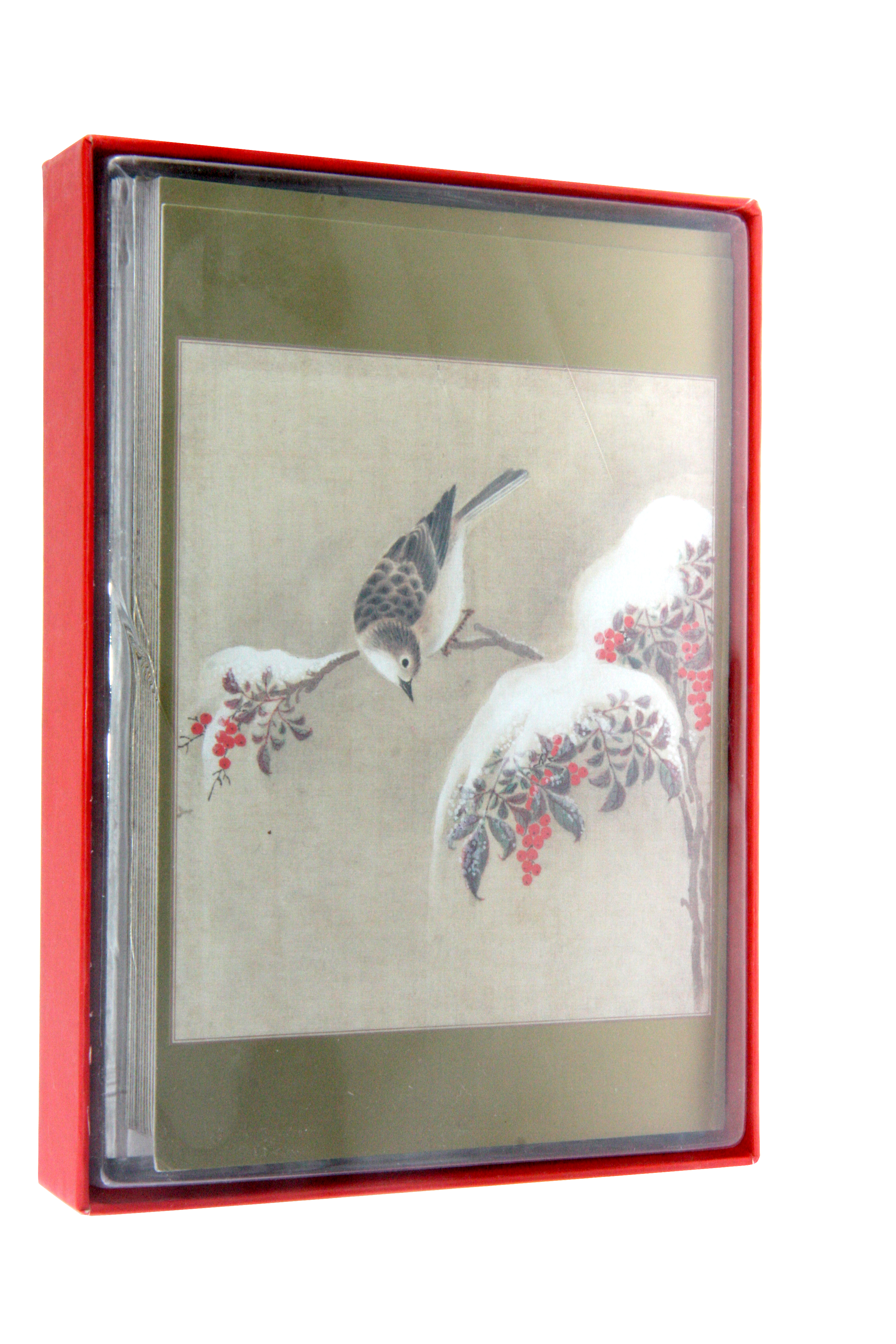 Set 12 felicitari - Winter Bird Christmas Cards | Pomegranate