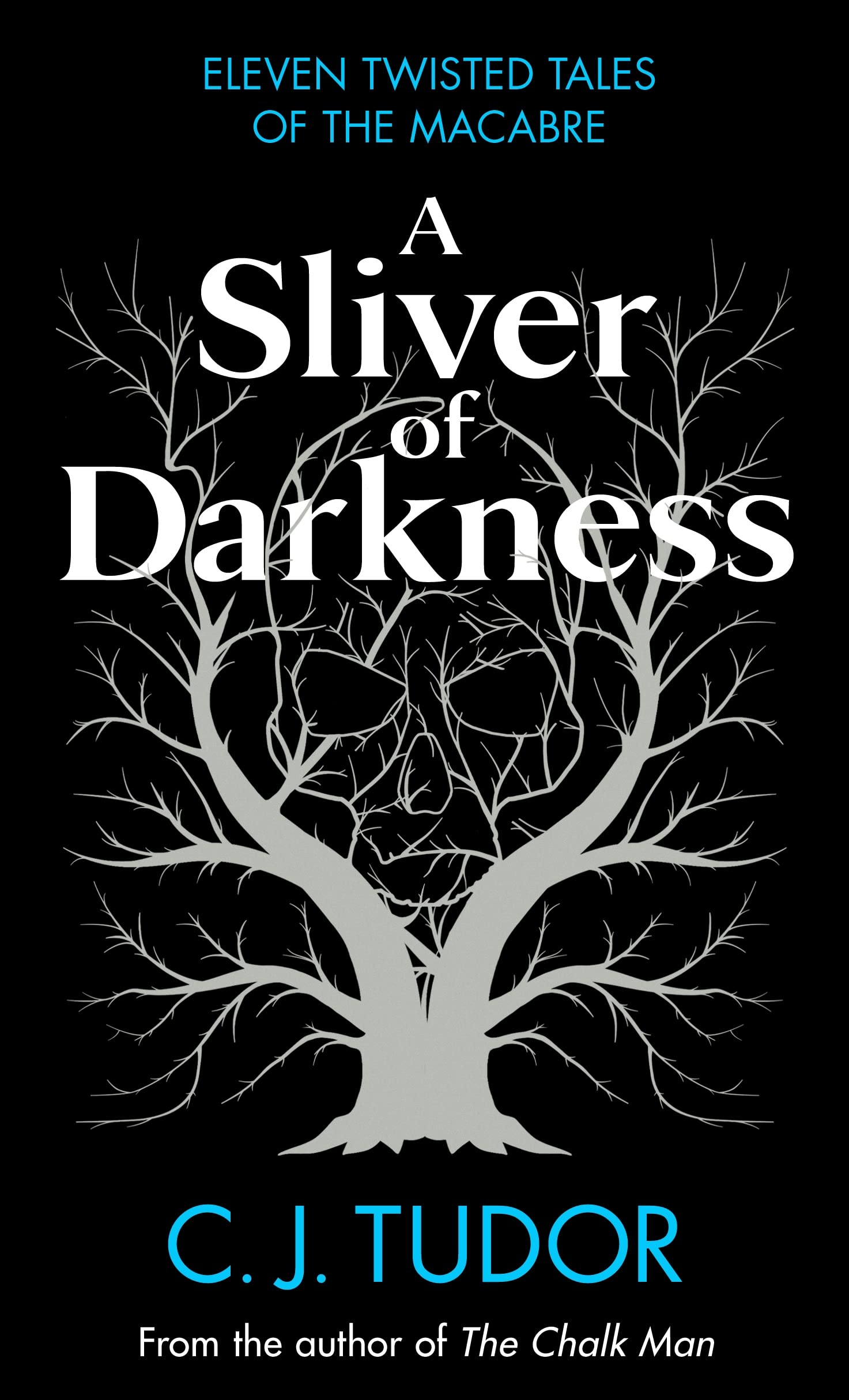 A Sliver of Darkness | C. J. Tudor - 1 | YEO