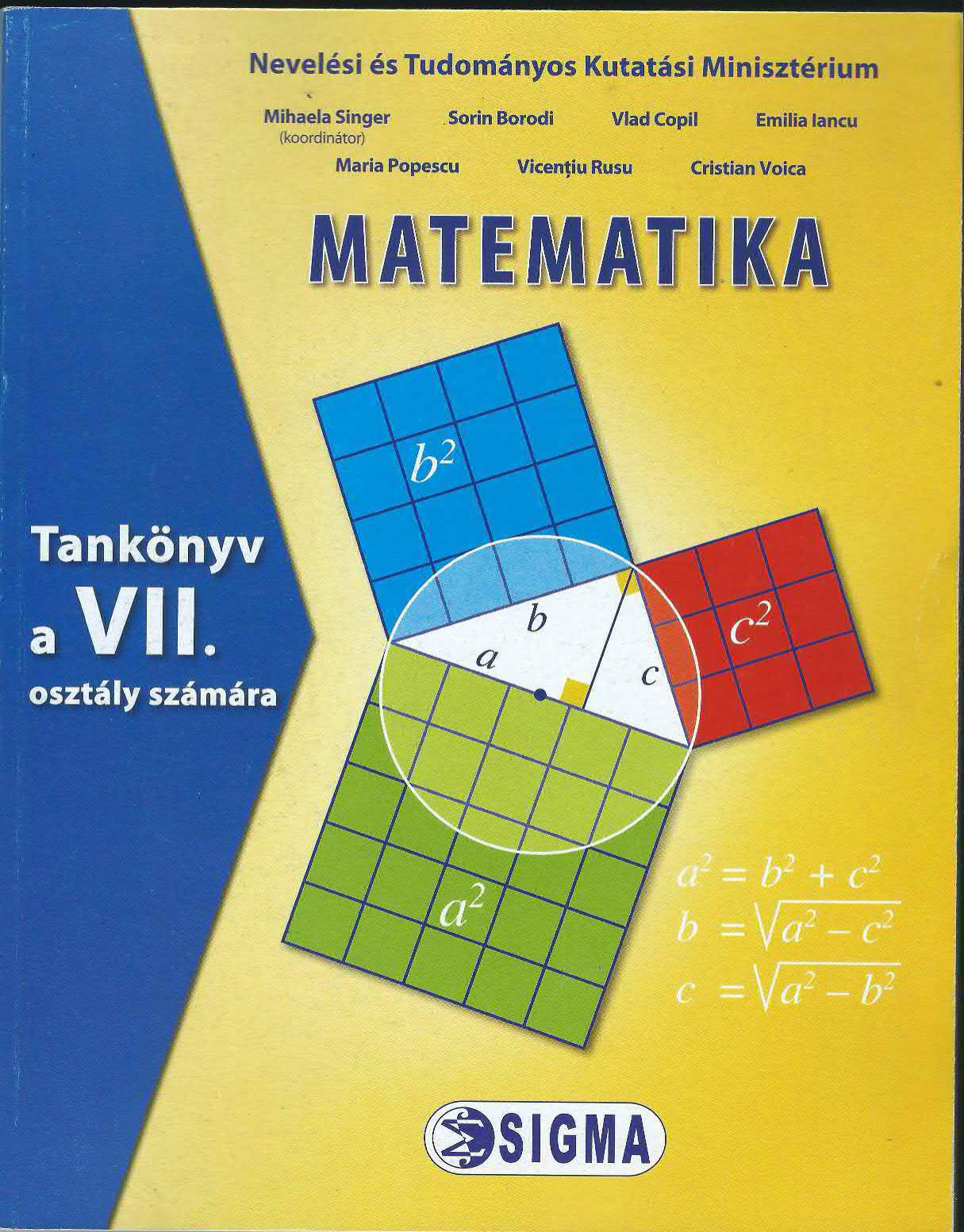 Matematika. Tankonya a VIII. | Mihaela Singer