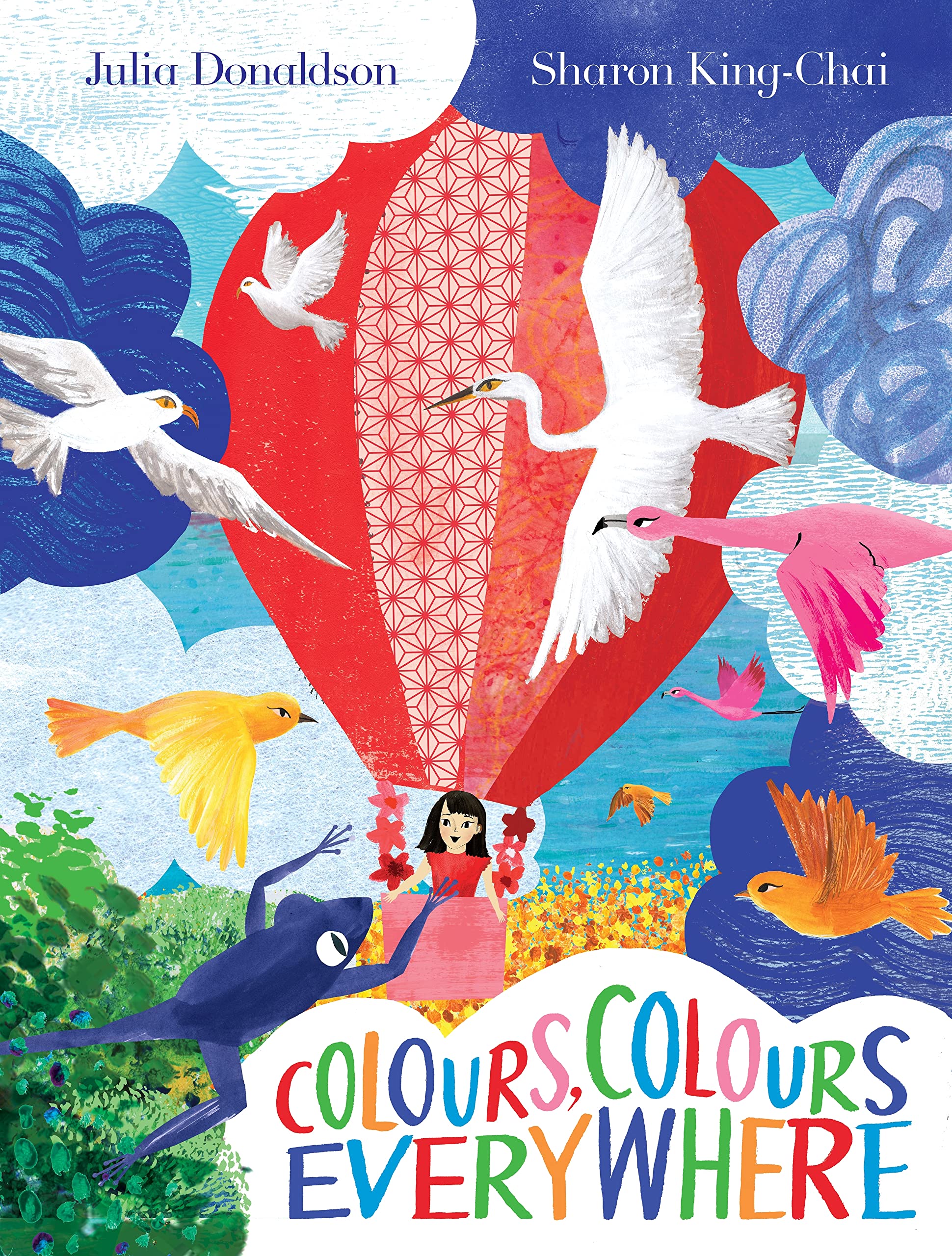 Colours, Colours Everywhere | Julia Donaldson