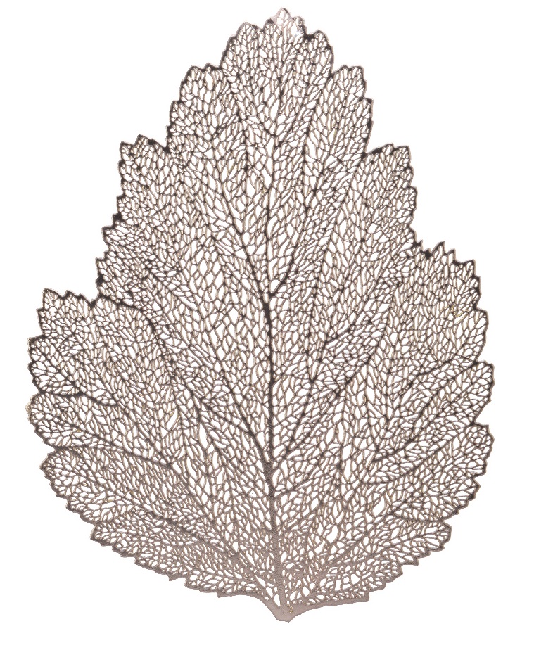  Suport farfurie - Leaf | Kaemingk 