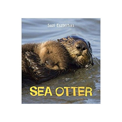 Sea Otter (Eye on the Wild) | Suzi Eszterhas