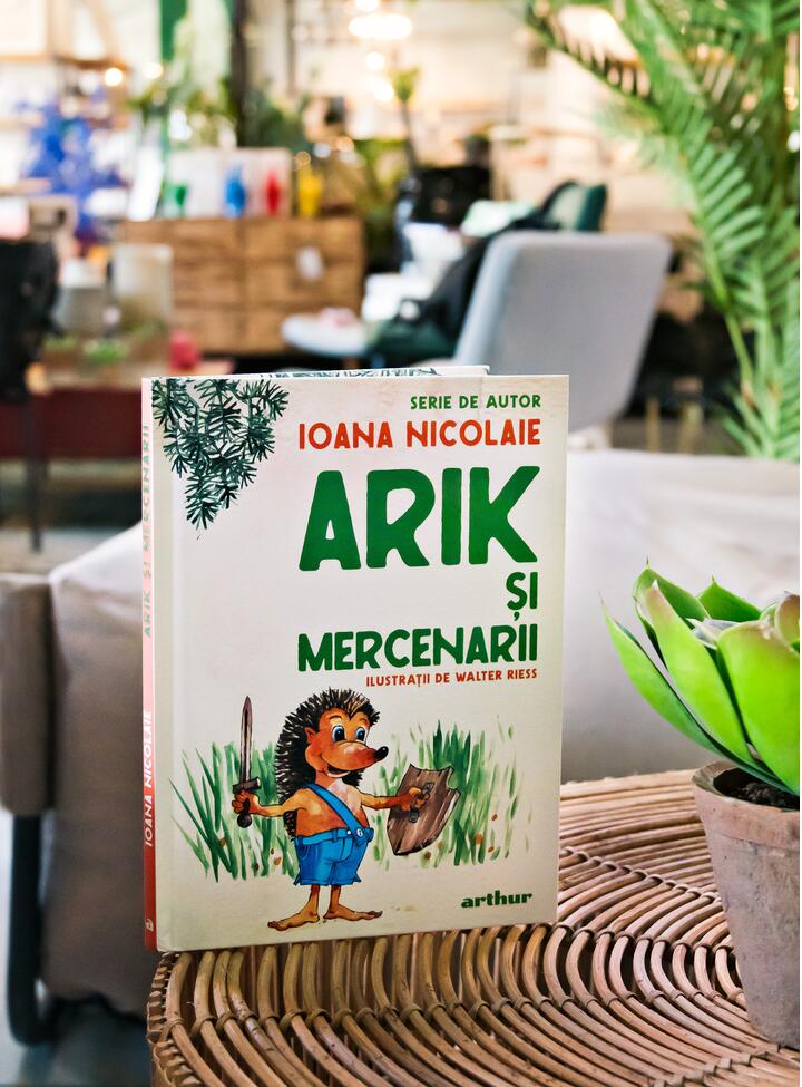 Arik si mercenarii | Ioana Nicolaie - 3 | YEO