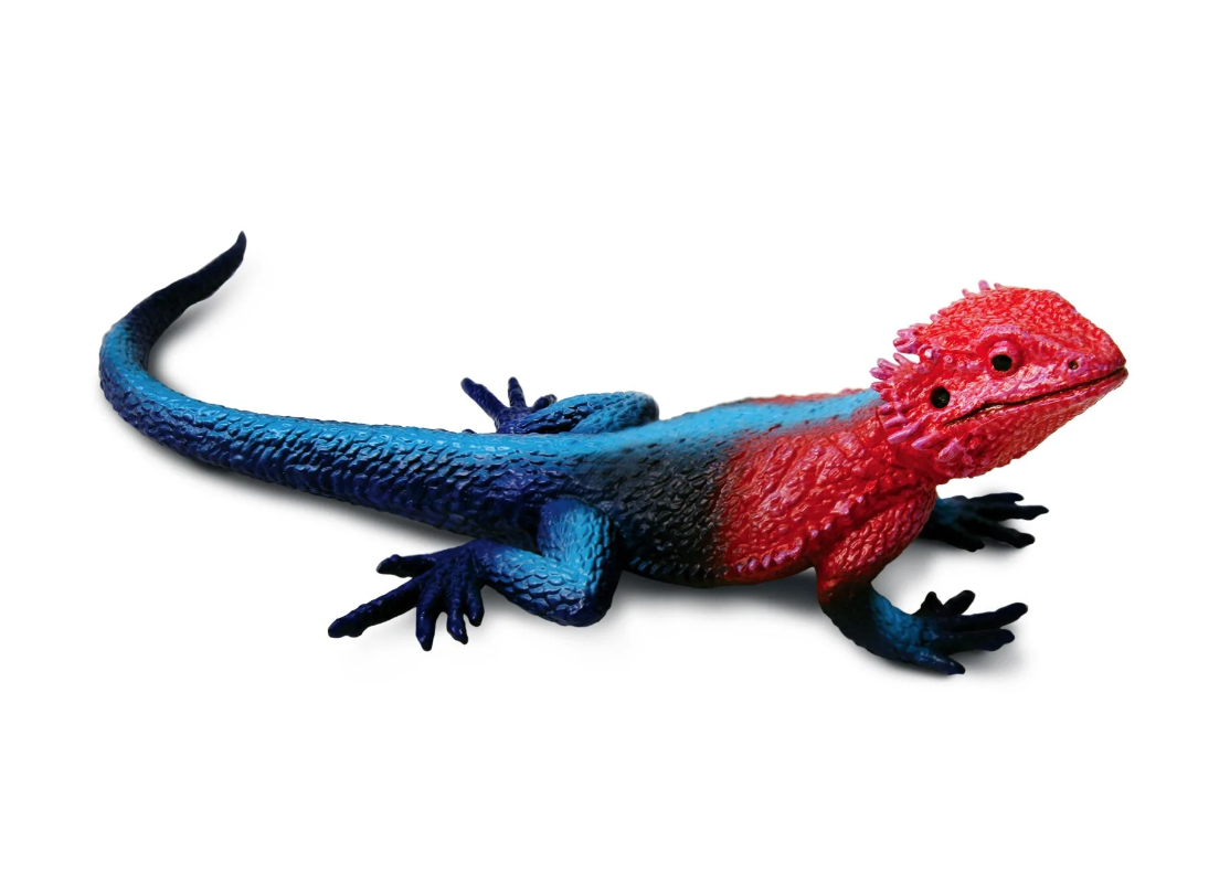 Figurina - Mwanza Flat-Headed Rock Agama | Safari - 2 | YEO