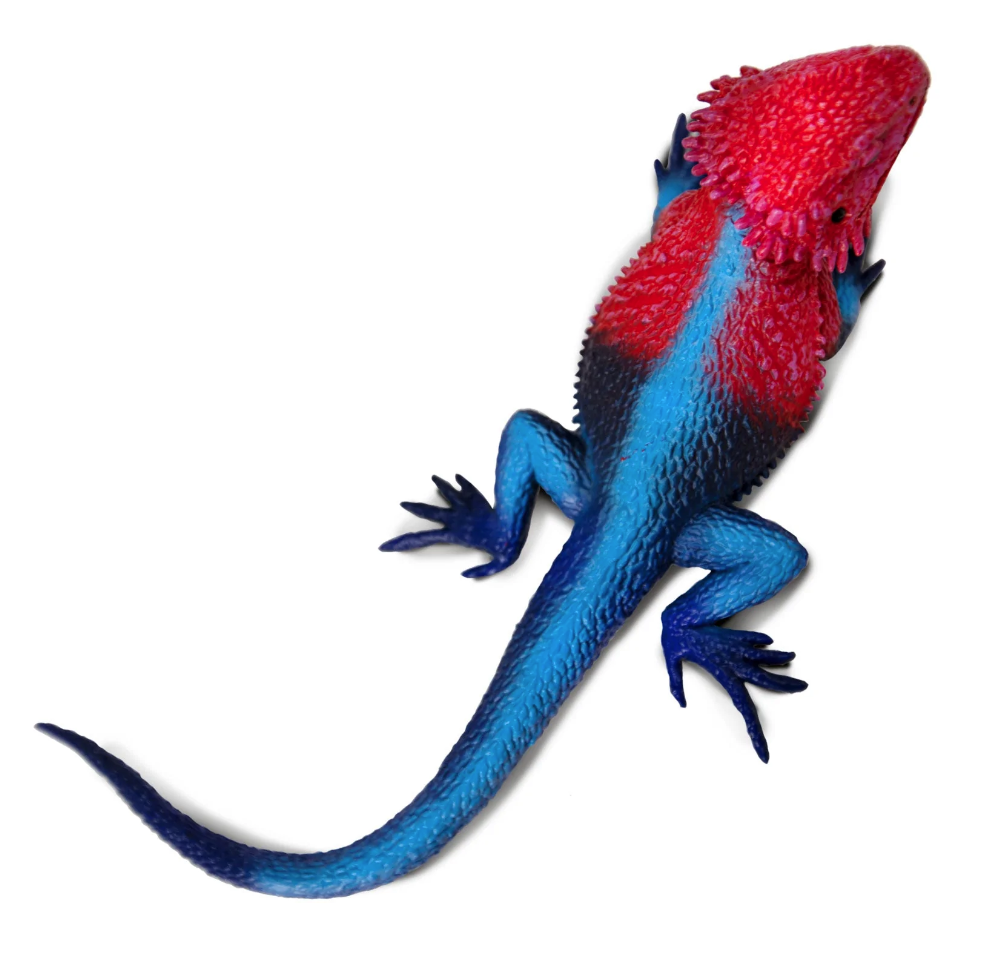 Figurina - Mwanza Flat-Headed Rock Agama | Safari