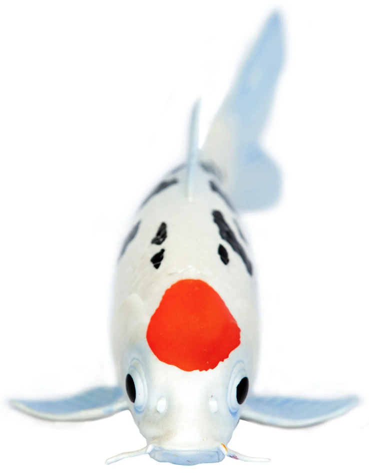Figurina - Koi Fish - Tancho Toy | Safari