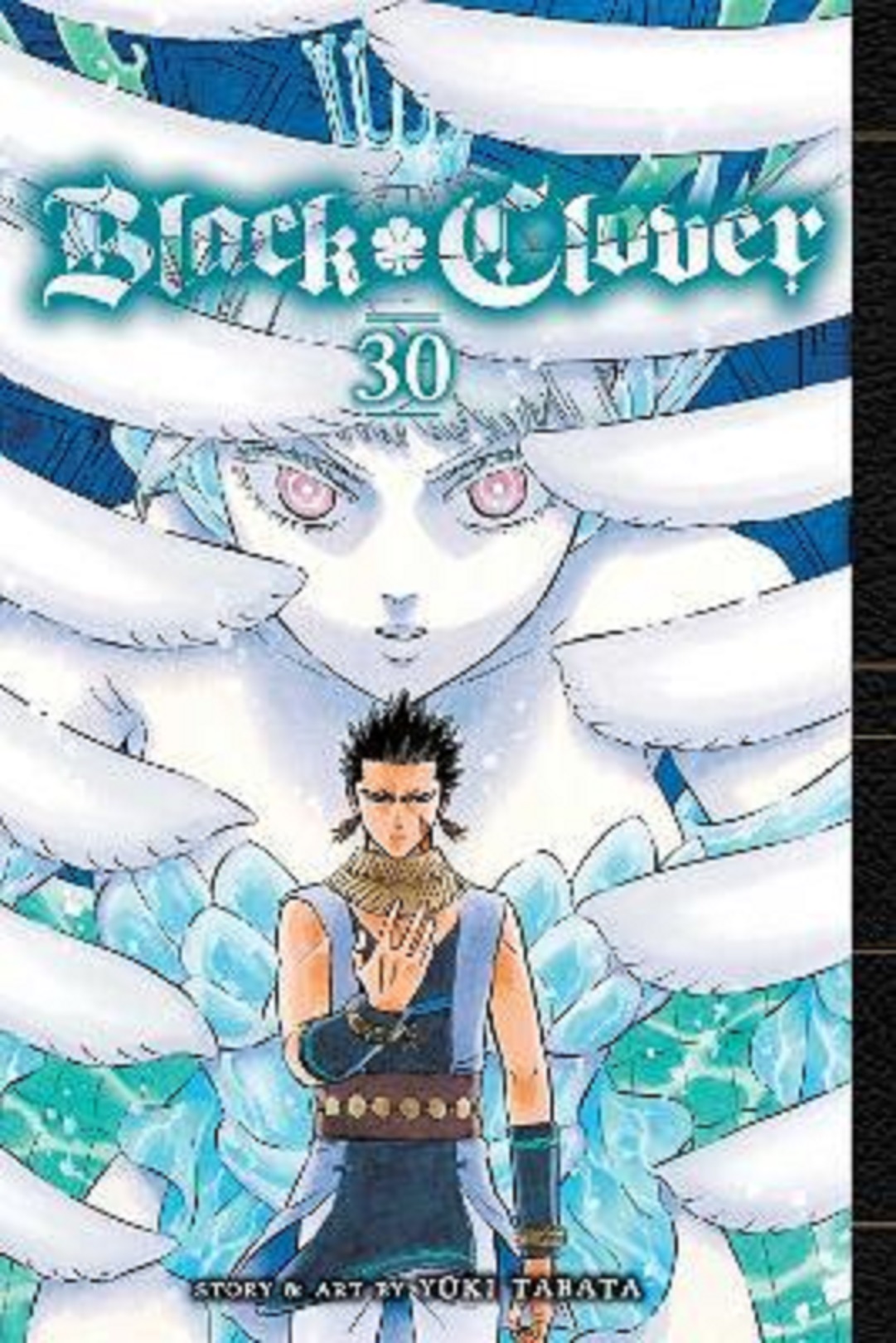 Black Clover - Volume 30 | Yuki Tabata