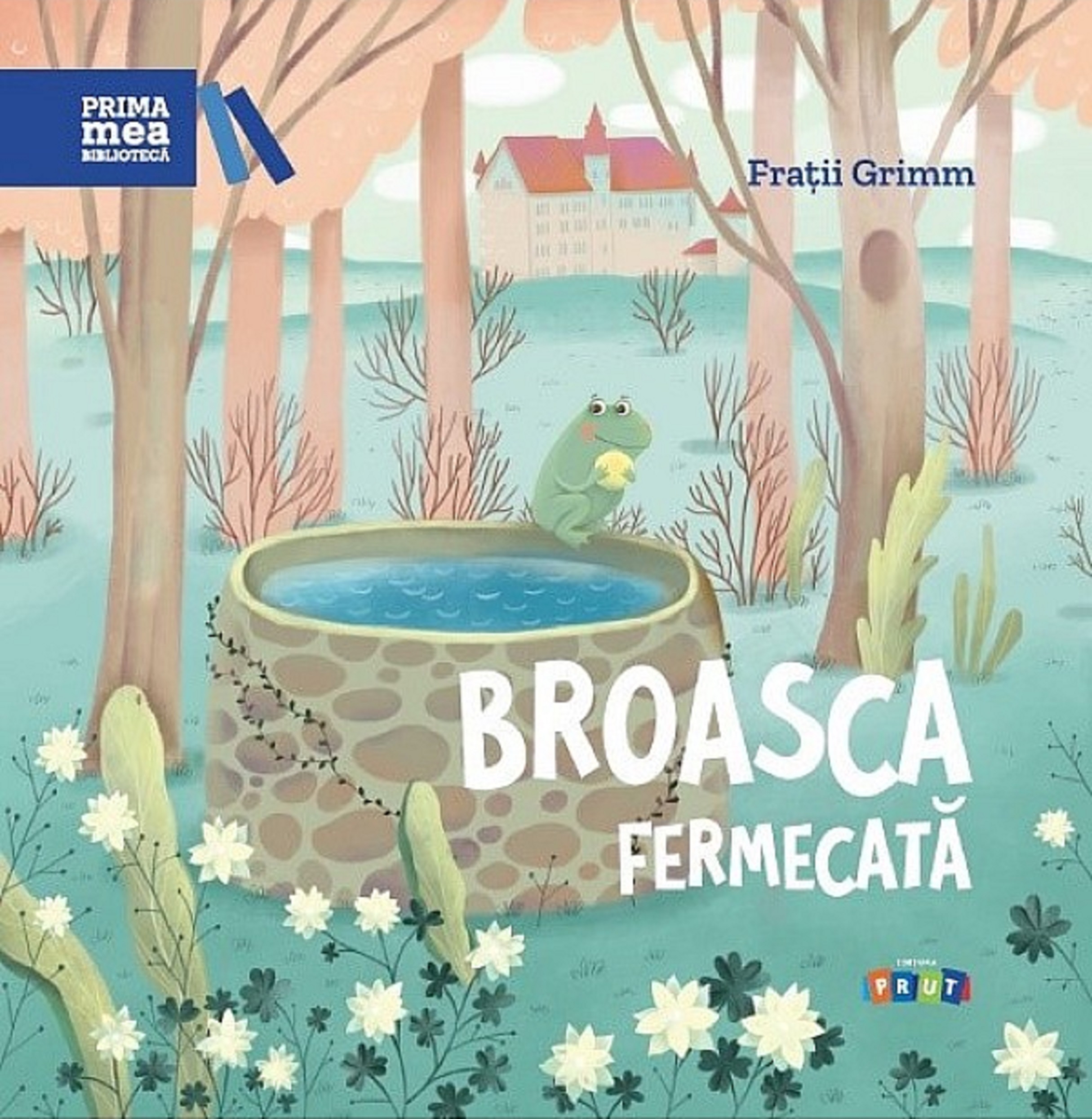 Broasca fermecata | Fratii Grimm