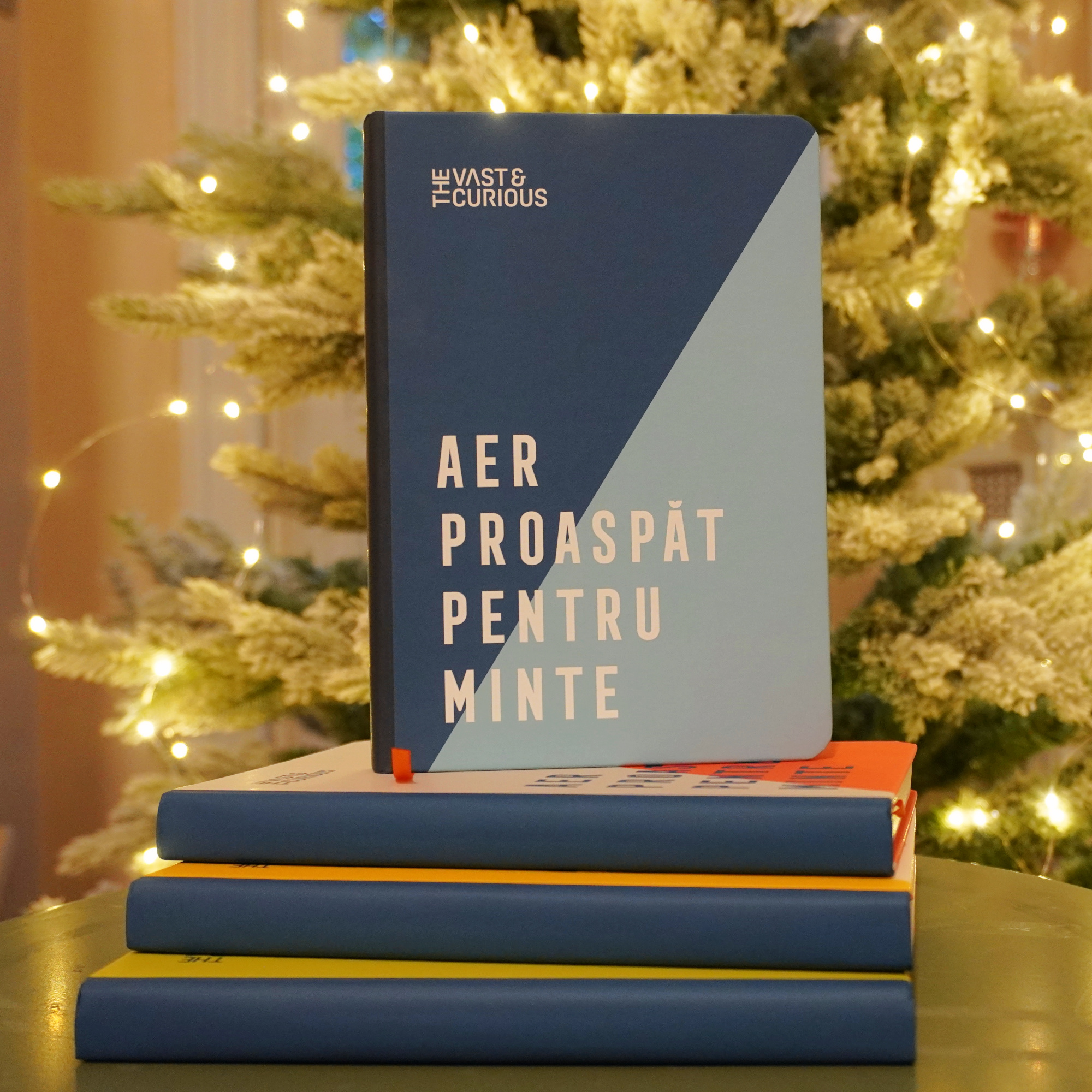 Carnet - Aer proaspat pentru minte - Albastru | ROD - 6 | YEO