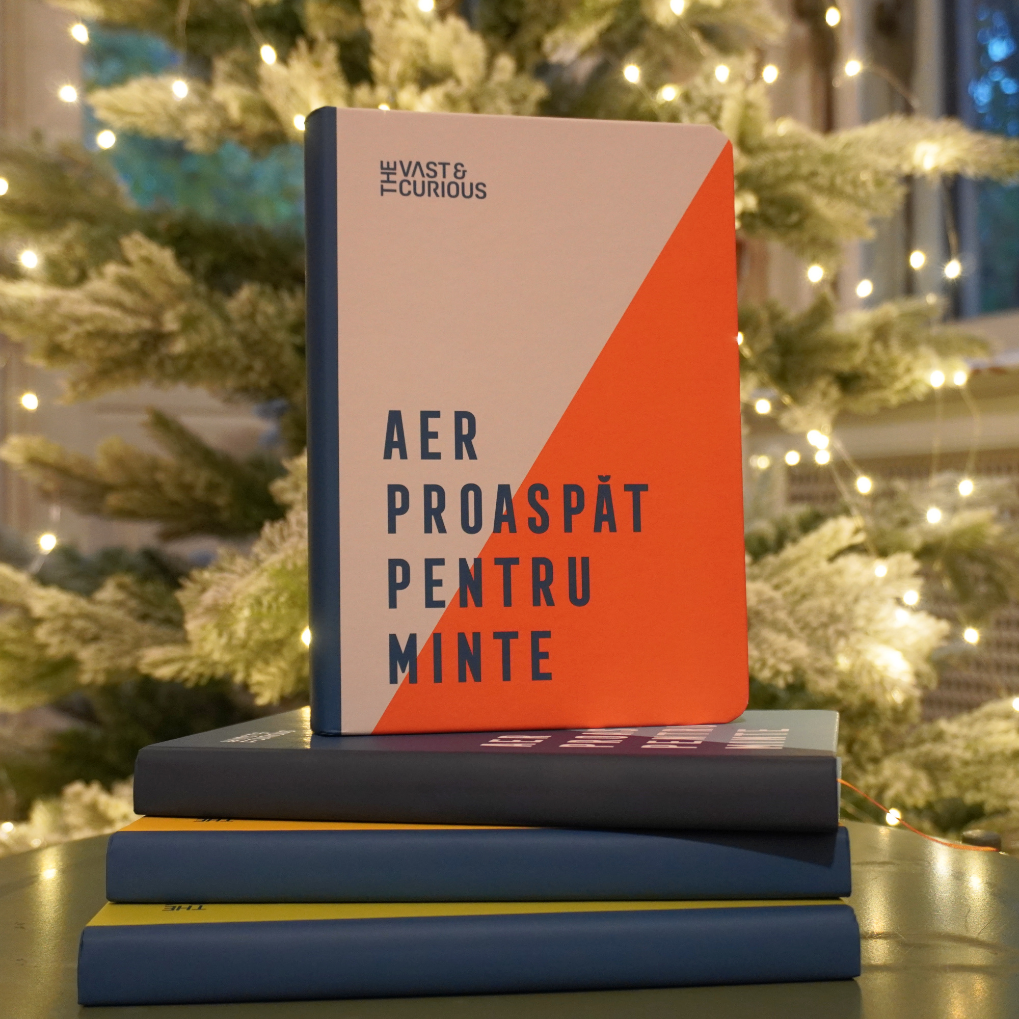 Carnet - Aer proaspat pentru minte - Oranj | ROD - 6 | YEO