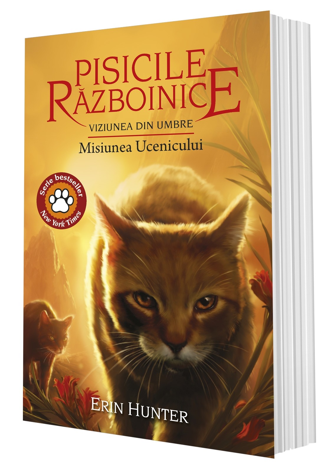 Pisicile Razboinice 31. Viziunea din umbre: Misiunea Ucenicului | Erin Hunter