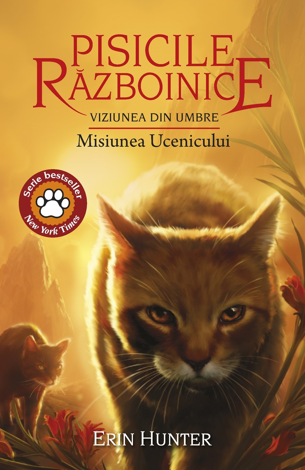 Pisicile Razboinice 31. Viziunea din umbre: Misiunea Ucenicului | Erin Hunter - 2 | YEO