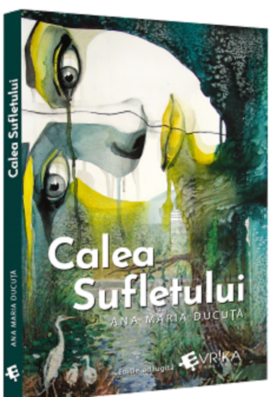 Calea Sufletului | Ana Maria Ducuta